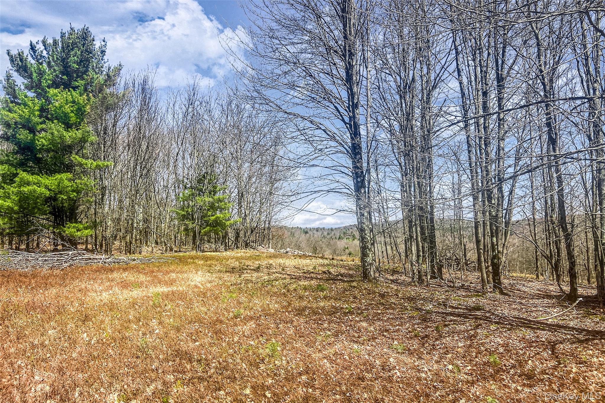 Frank Slawson Road Oneonta, NY 13820 - Photo 16 of 27 a view of a yard with trees