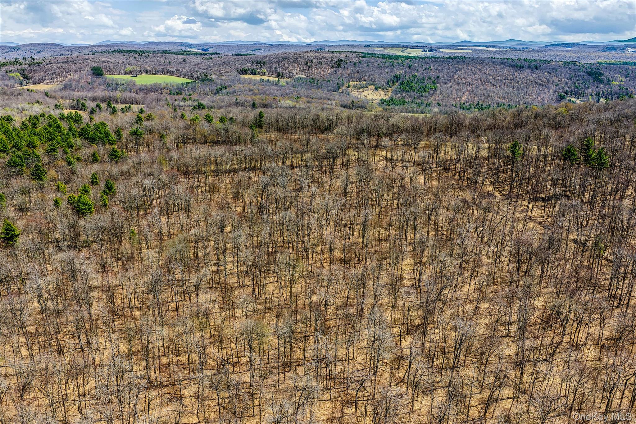 Frank Slawson Road Oneonta, NY 13820 - Photo 17 of 27