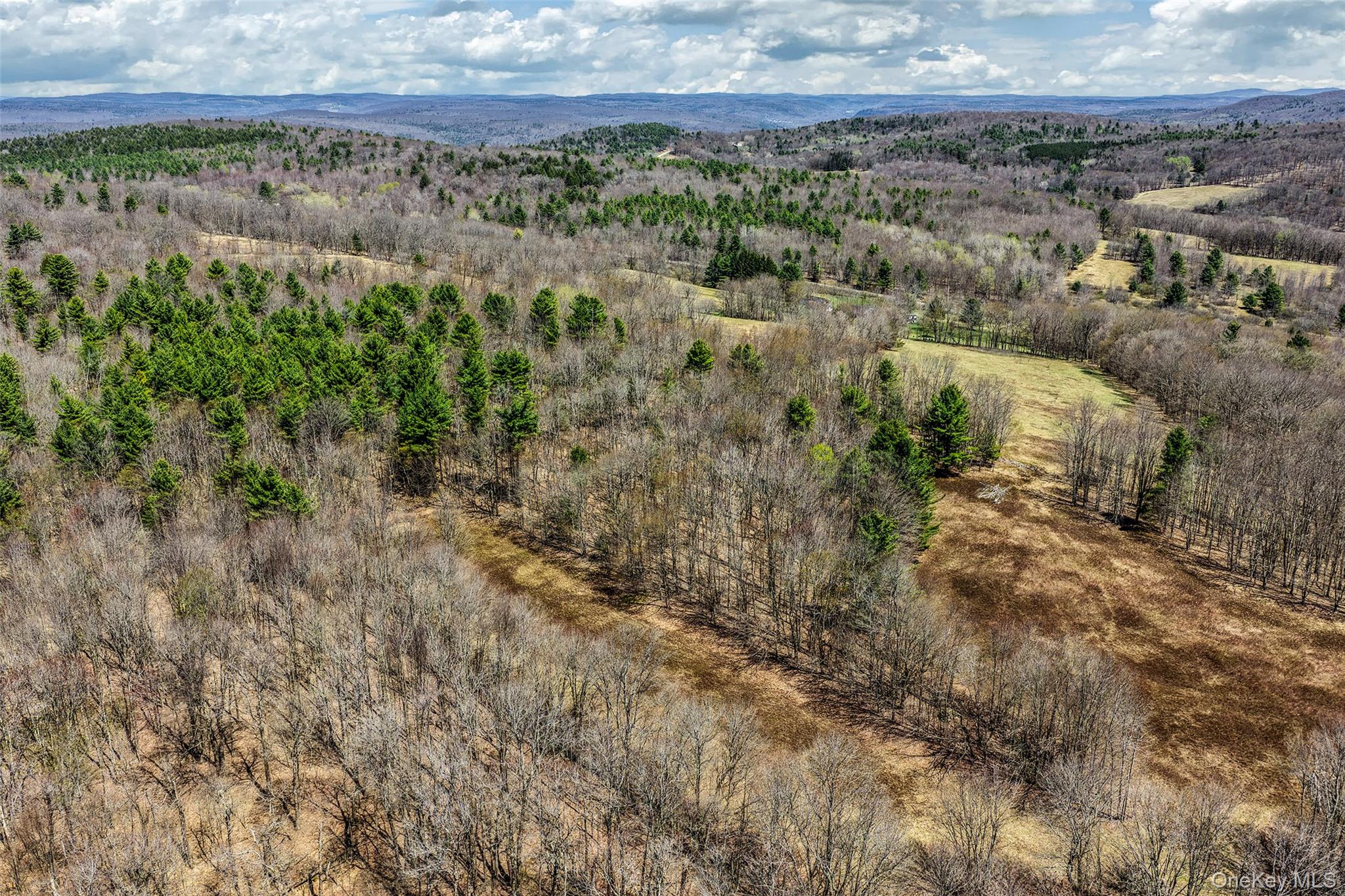 Frank Slawson Road Oneonta, NY 13820 - Photo 19 of 27 a view of a field