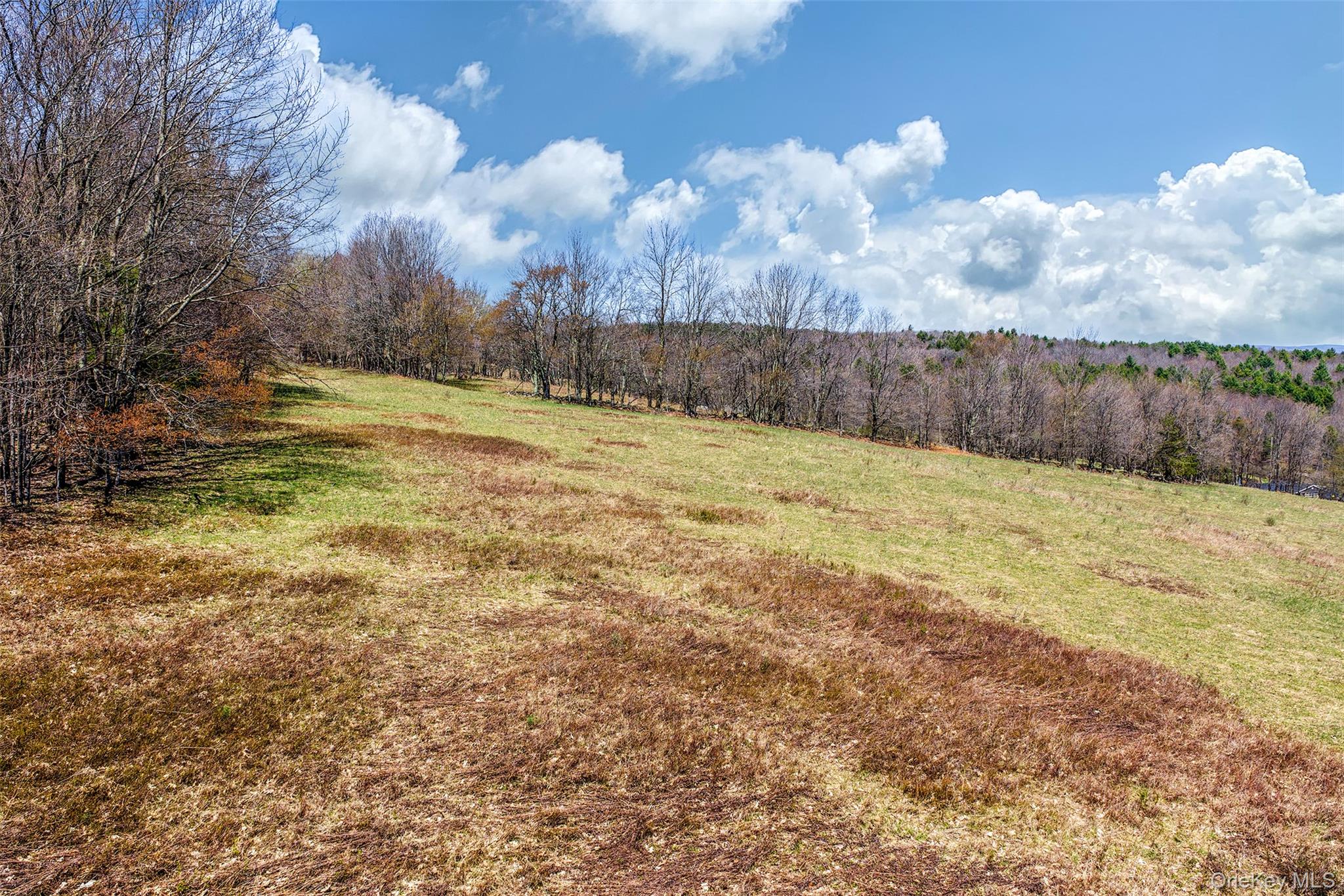 Frank Slawson Road Oneonta, NY 13820 - Photo 21 of 27 a view of a yard