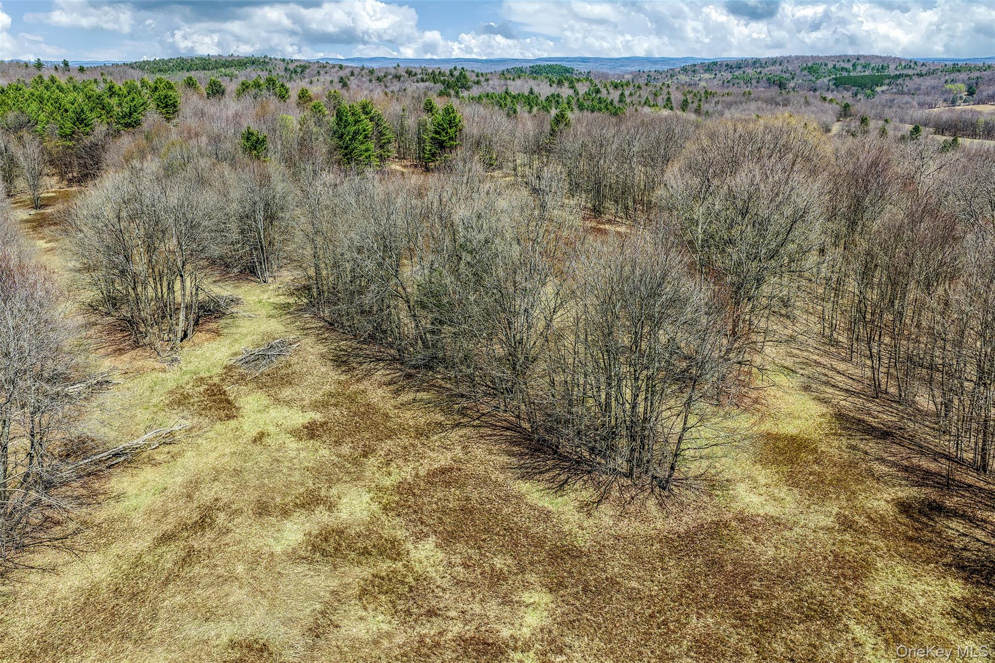 Frank Slawson Road Oneonta, NY 13820 - Photo 22 of 27 a view of a lake view