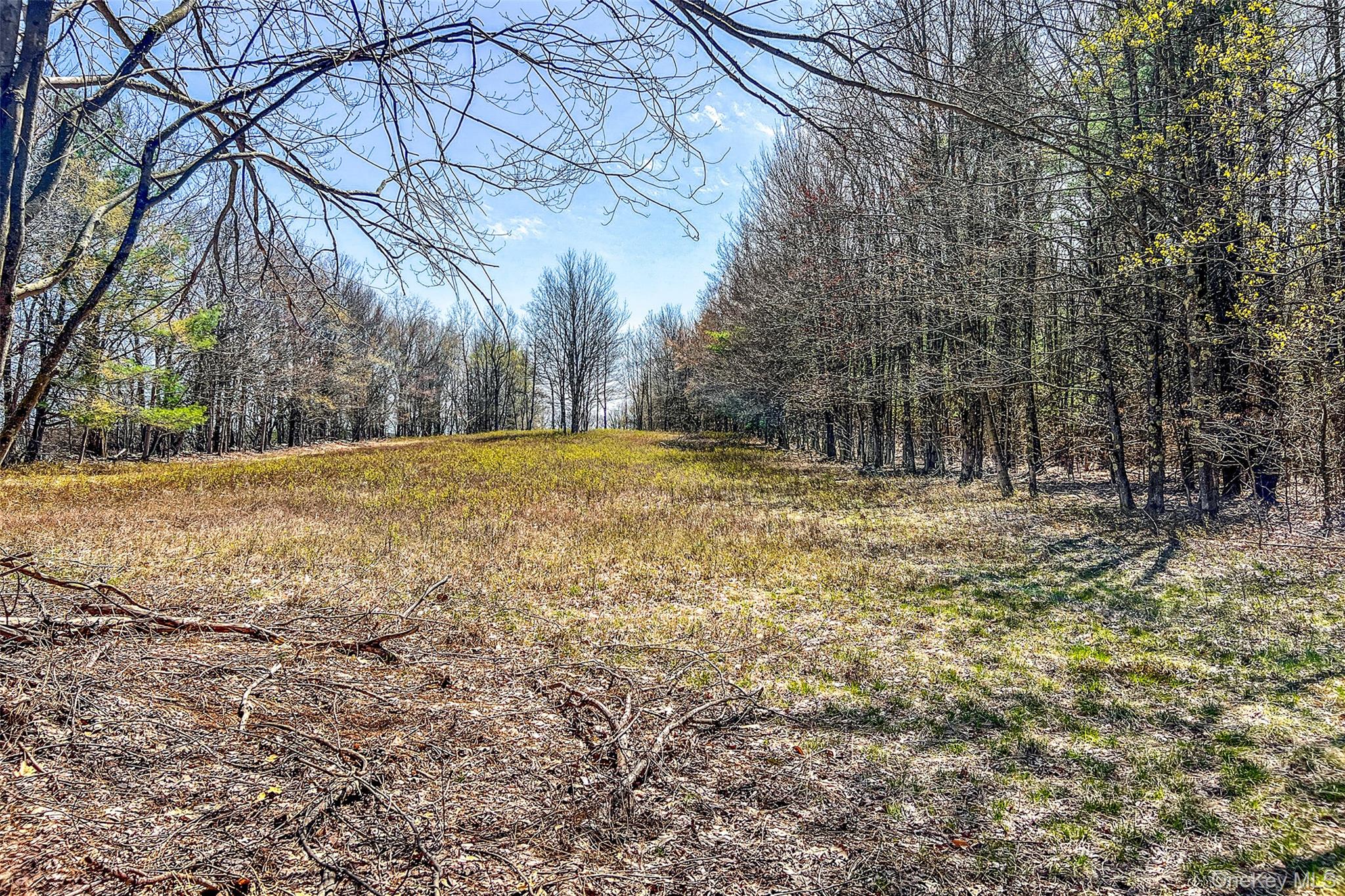 Frank Slawson Road Oneonta, NY 13820 - Photo 26 of 27 a view of outdoor space with trees