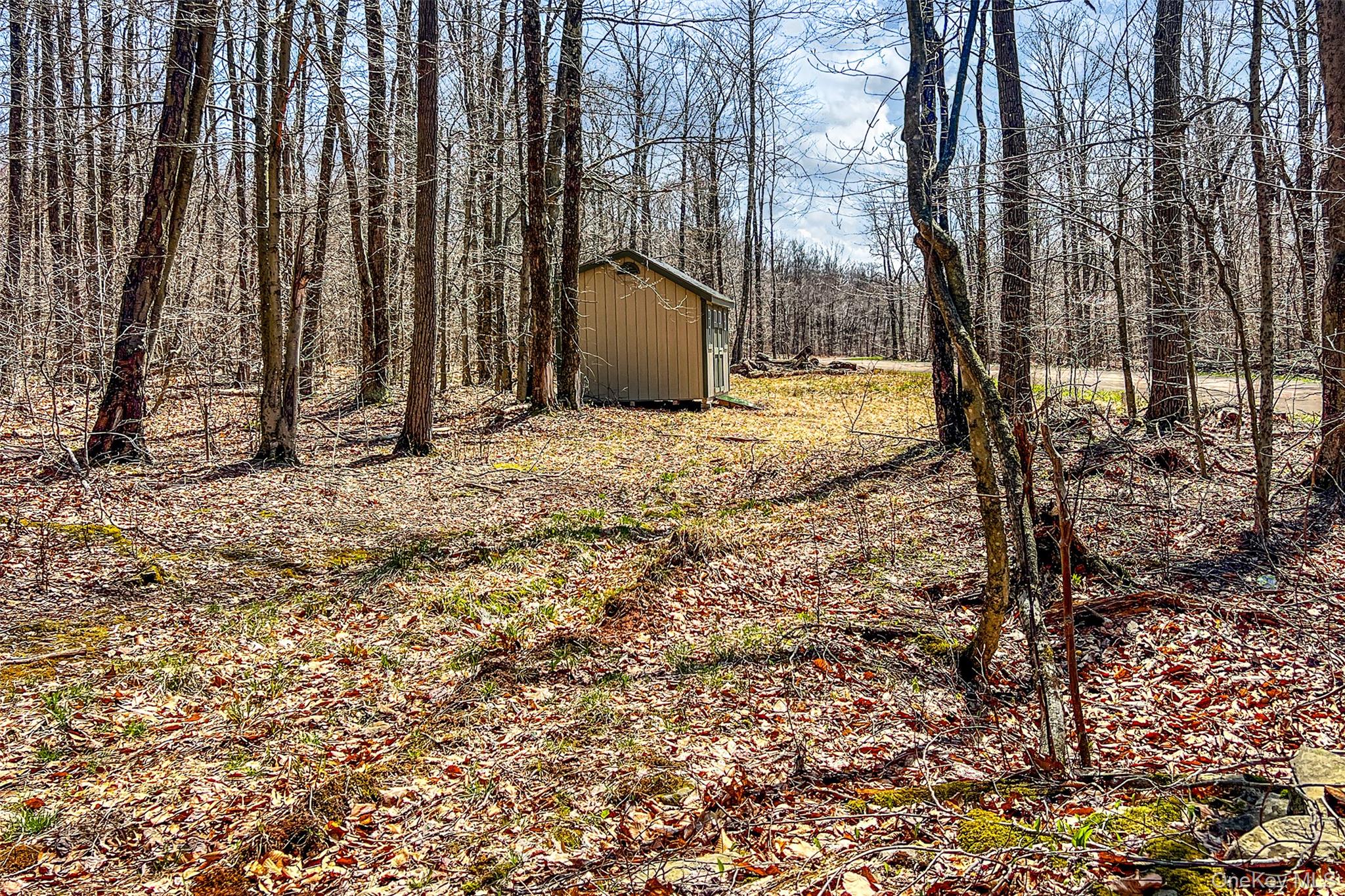 Frank Slawson Road Oneonta, NY 13820 - Photo 27 of 27 a view of outdoor space with garden