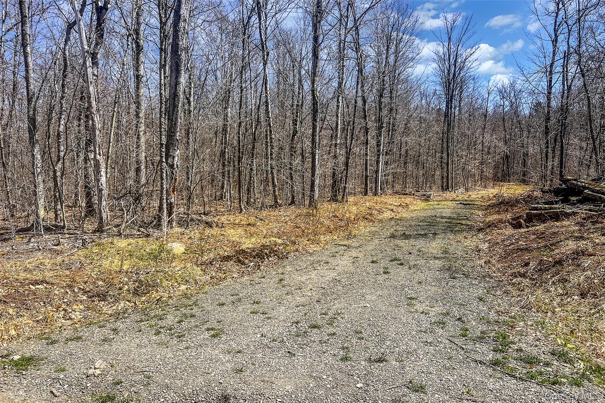 Frank Slawson Road Oneonta, NY 13820 - Photo 5 of 27 a view of dirt yard with large trees