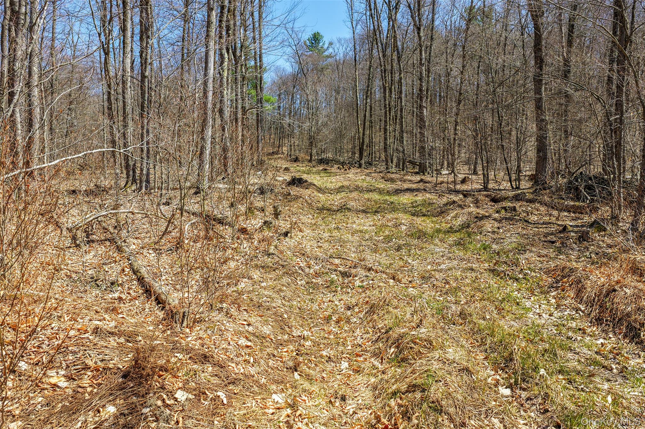 Frank Slawson Road Oneonta, NY 13820 - Photo 6 of 27 a view of outdoor space with trees