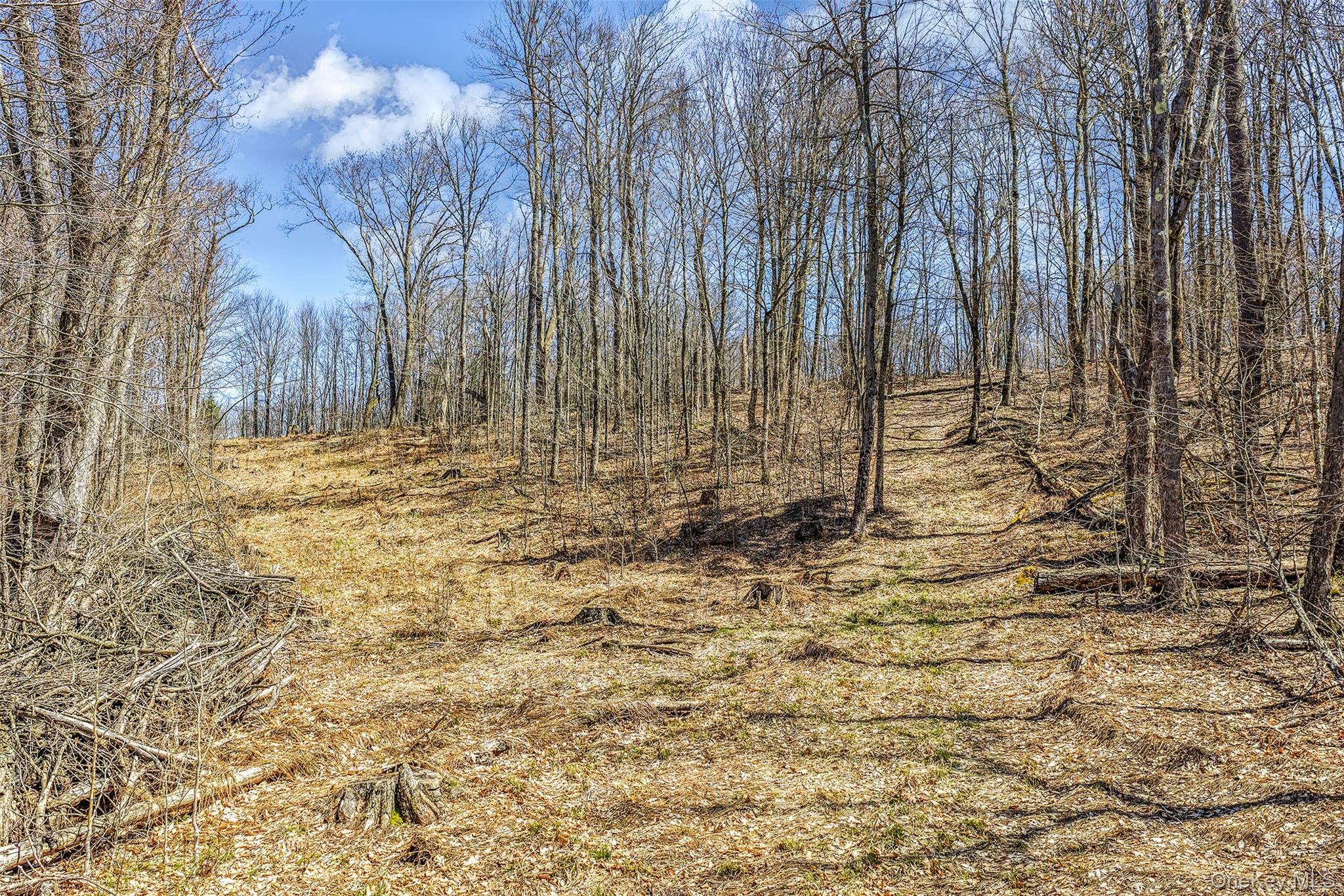 Frank Slawson Road Oneonta, NY 13820 - Photo 7 of 27 a view of trees and covered with wooden fence