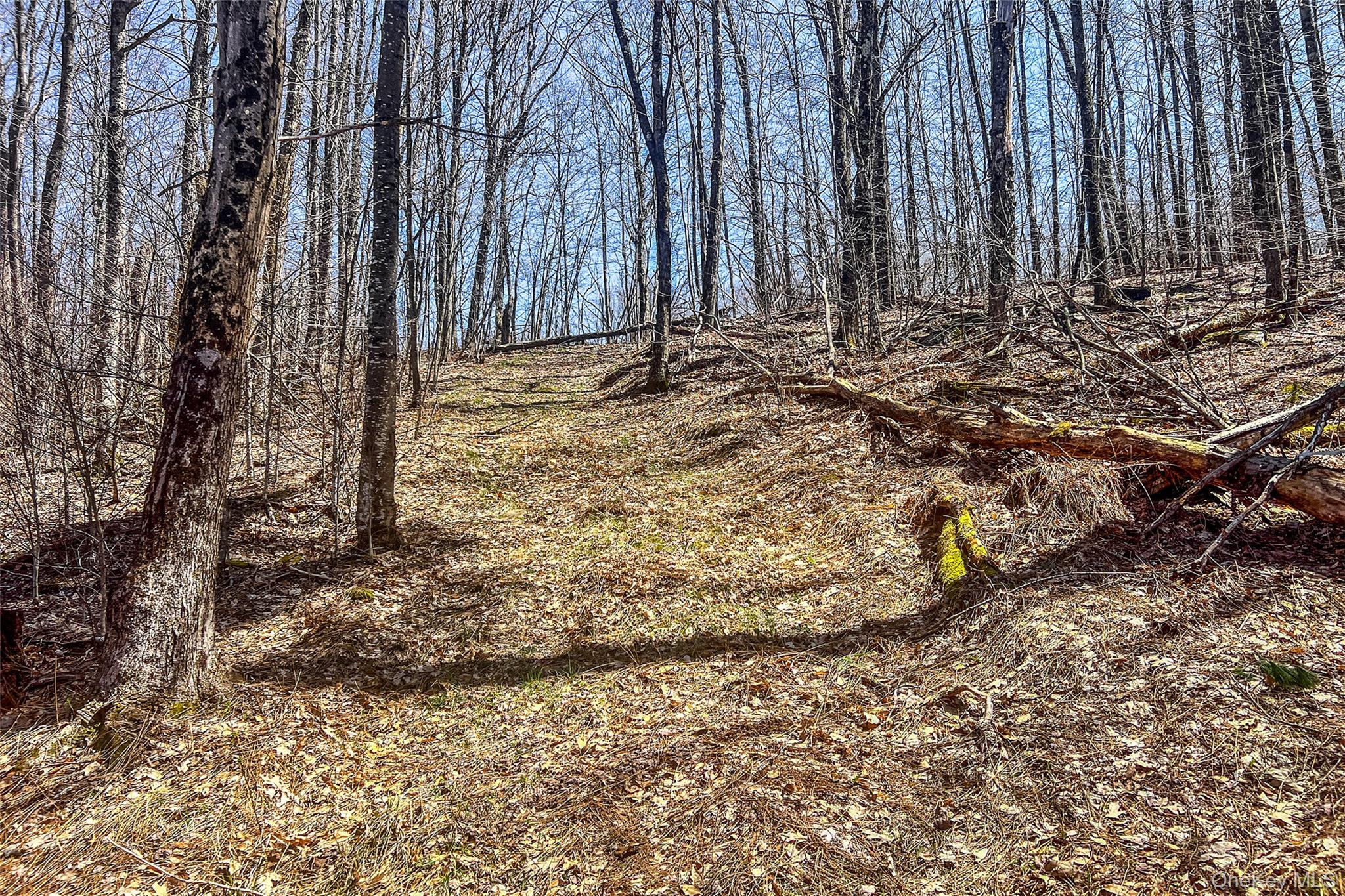 Frank Slawson Road Oneonta, NY 13820 - Photo 8 of 27 a view of wooden fence