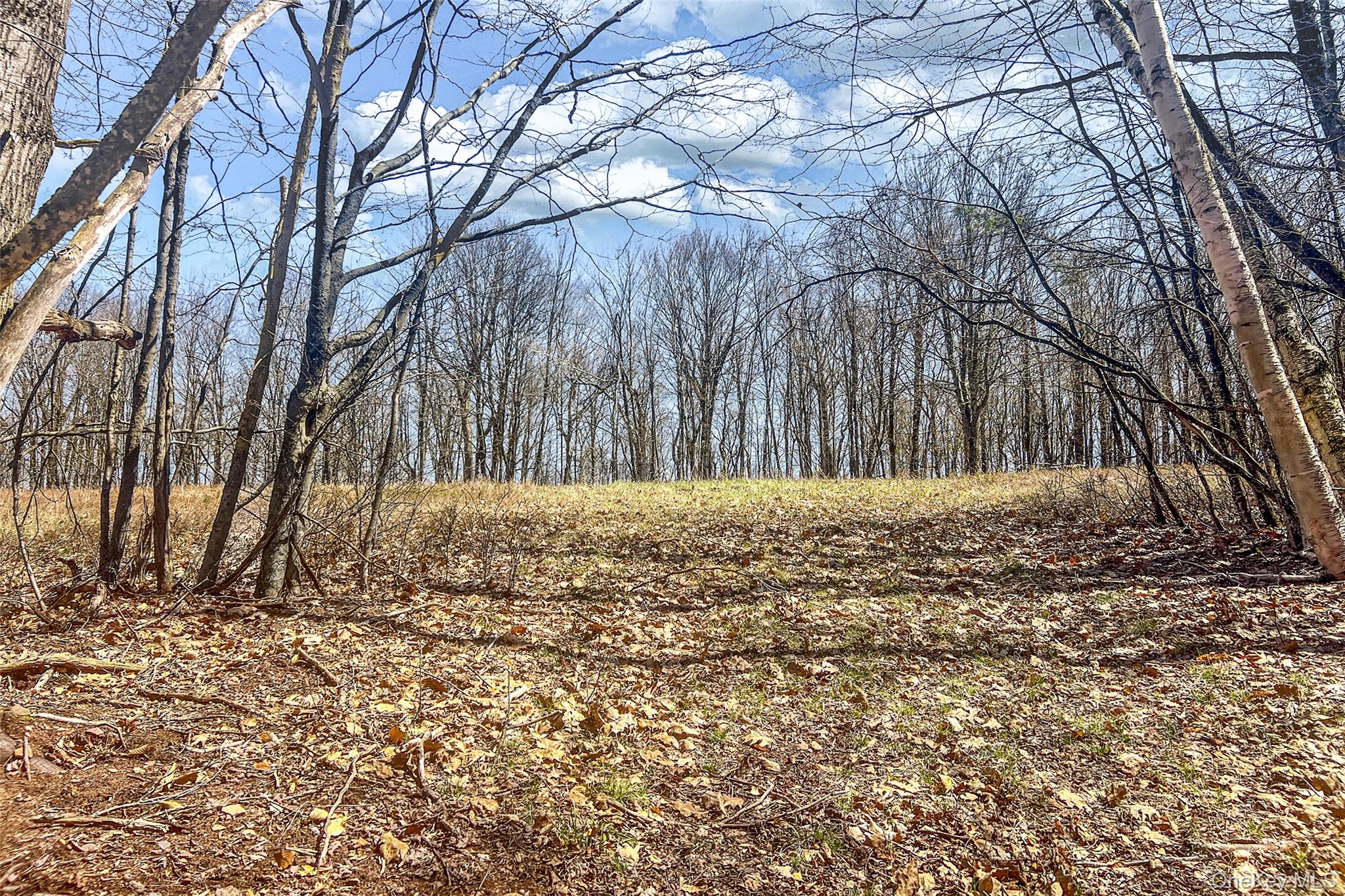 Frank Slawson Road Oneonta, NY 13820 - Photo 10 of 27 a house view with a yard