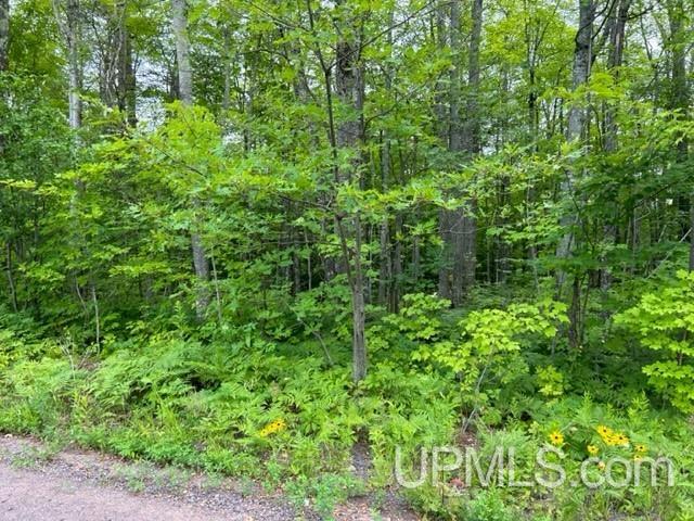 Tbd Lehtola Road Chassell, MI 49916 - Photo 32 of 59 Gallery Image 32