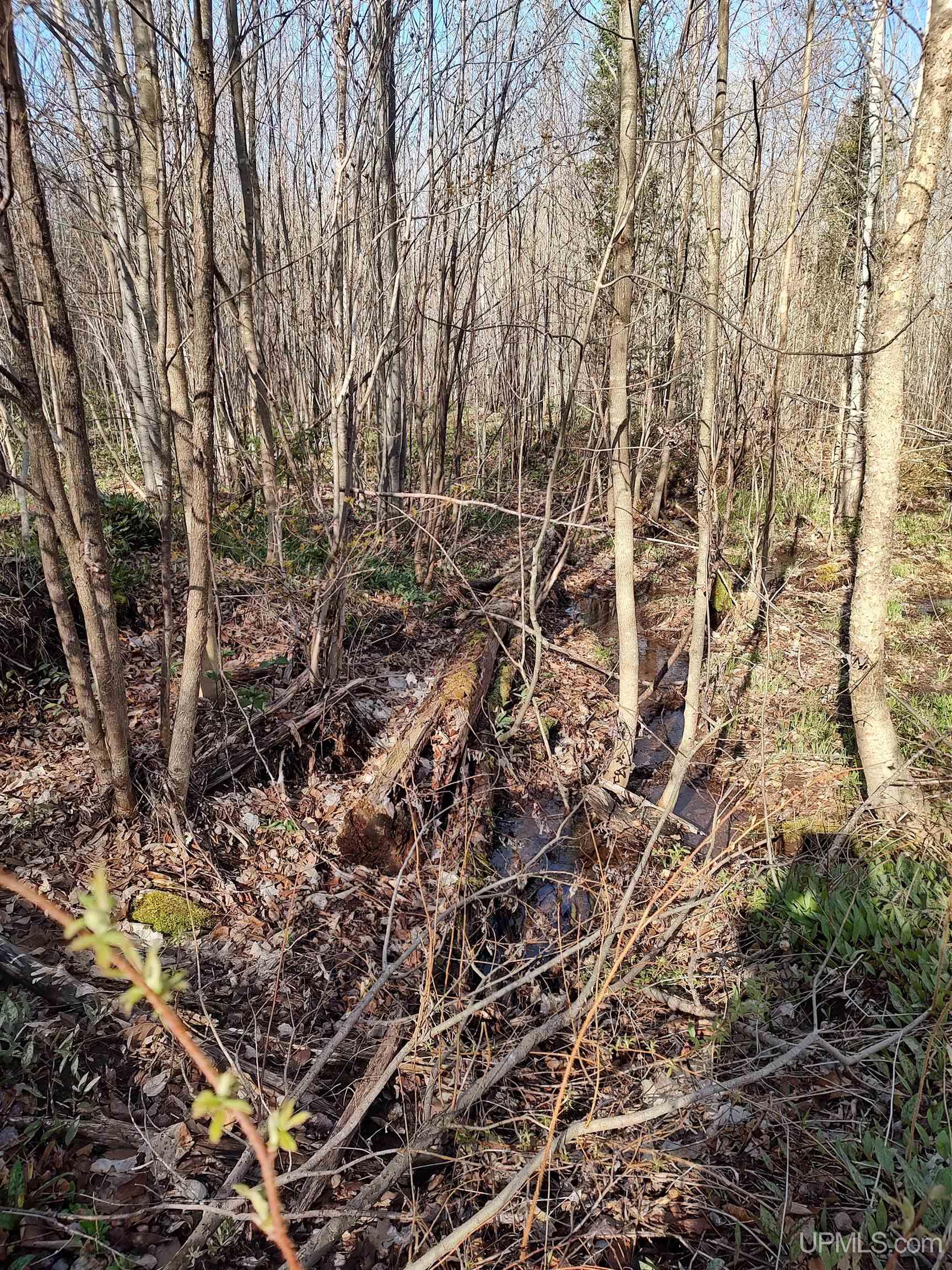 Tbd Tbd Schooner Road Ontonagon, MI 49953 - Photo 21 of 44