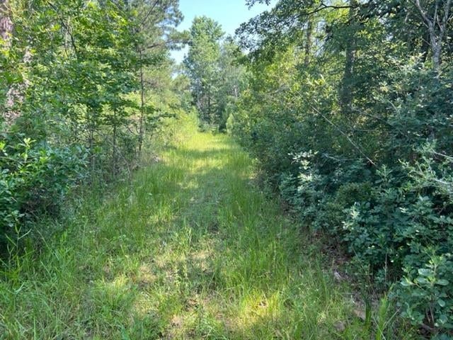 14647 Harrell Road Opp, AL 36467 - Photo 37 of 50 Gallery Image 37