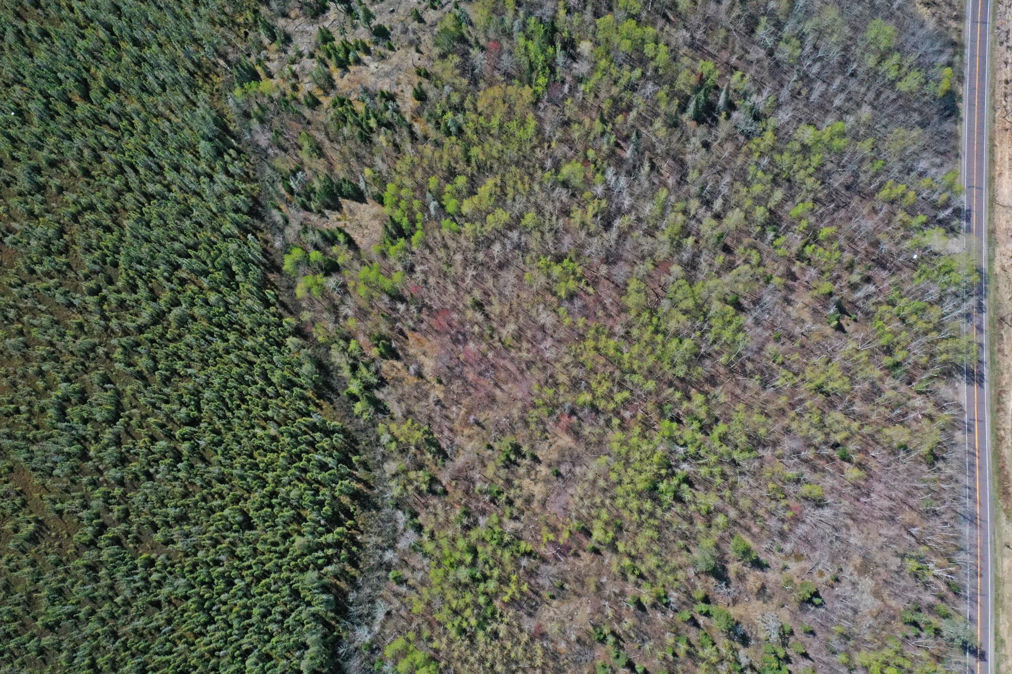 12 Fectos Road Tower, MN 55790 - Photo 24 of 50