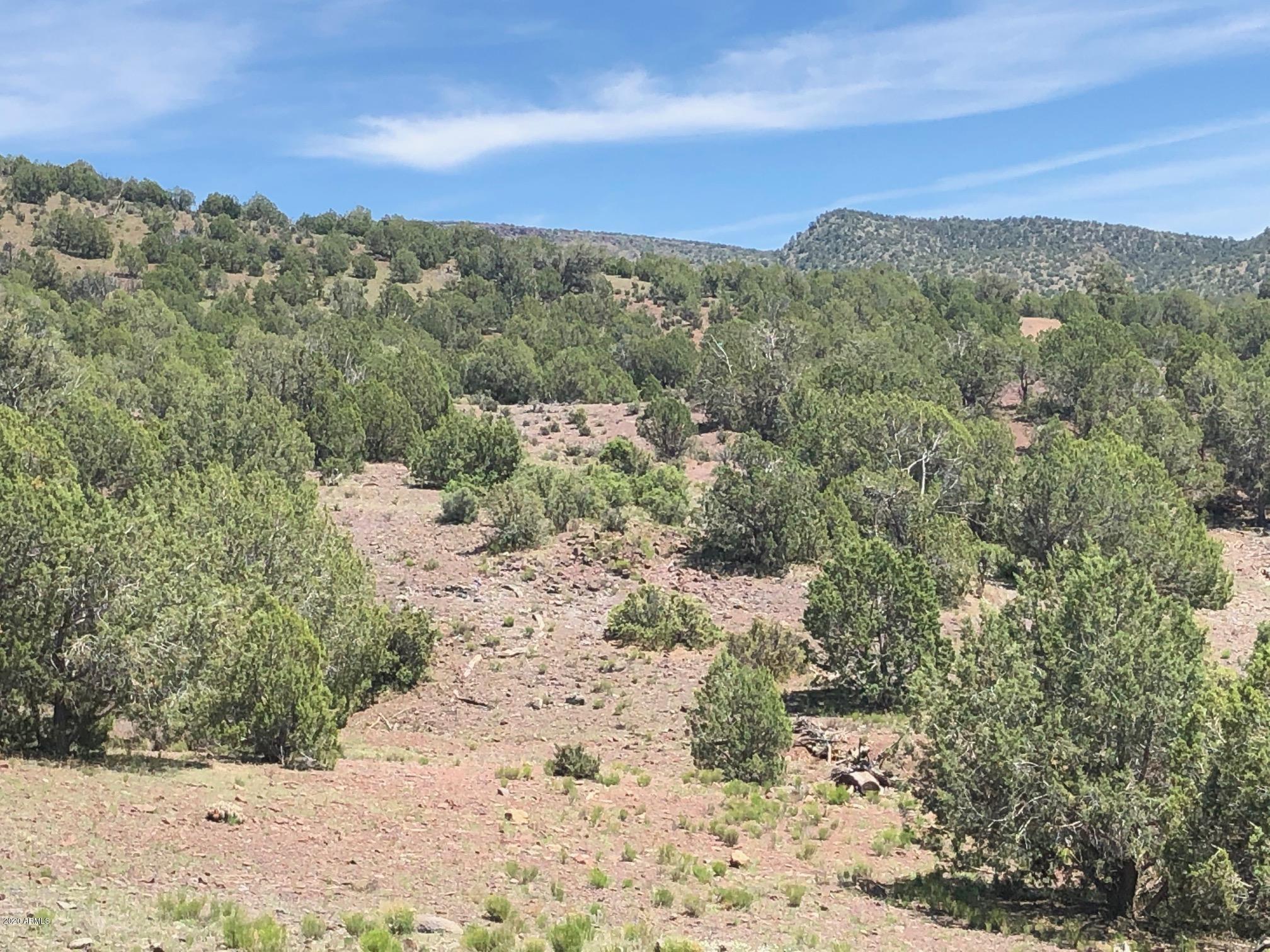 1310 North Willows Ranch Road, Unit 61 Kingman, AZ 86401 - Photo 20 of 49 09