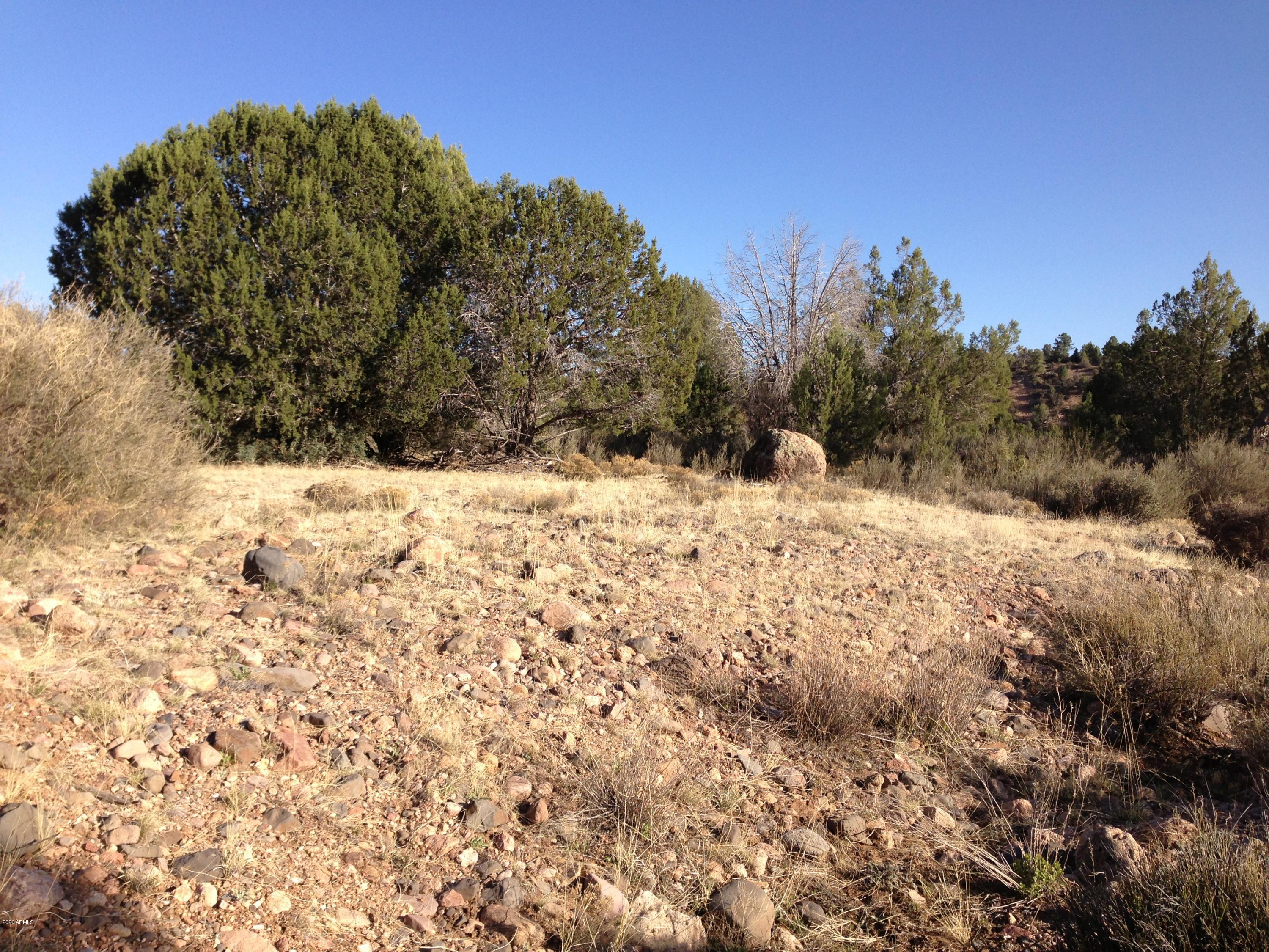 1310 North Willows Ranch Road, Unit 61 Kingman, AZ 86401 - Photo 27 of 49 07