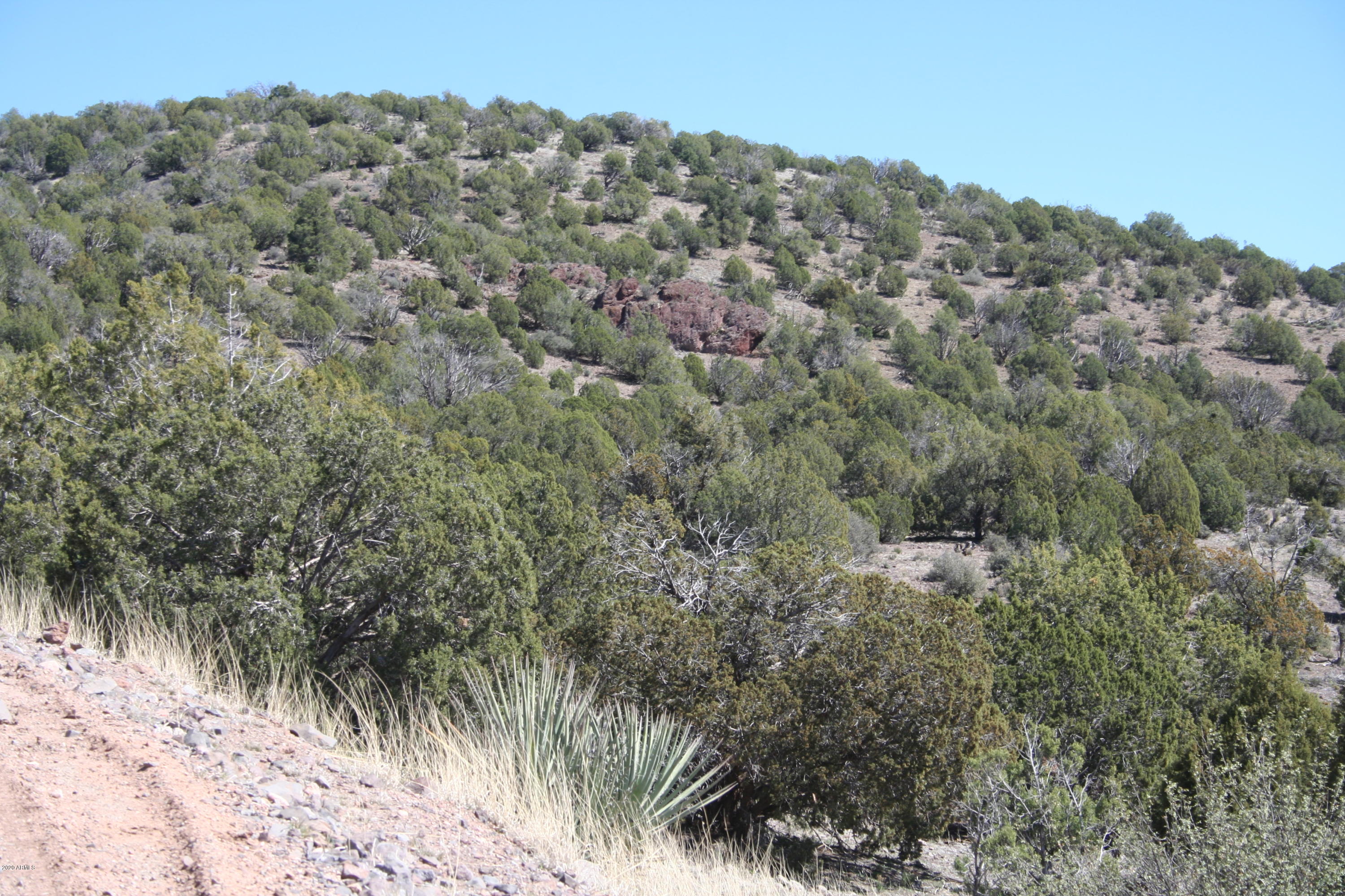 1310 North Willows Ranch Road, Unit 61 Kingman, AZ 86401 - Photo 46 of 49 28