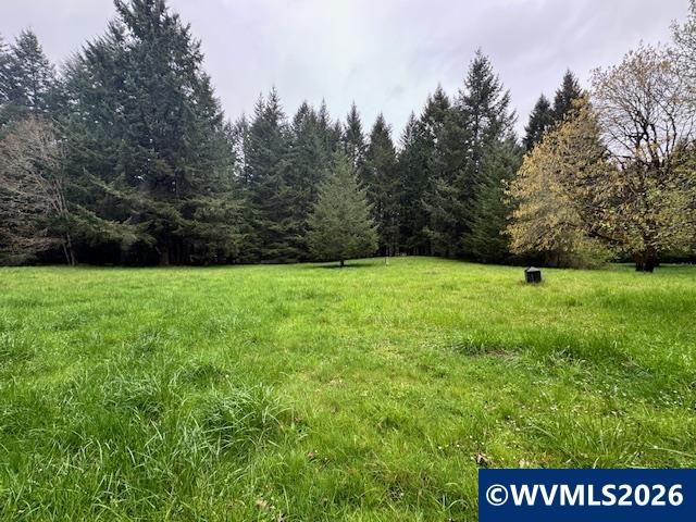 23939 Raze Road Elmira, OR 97437 - Photo 36 of 46