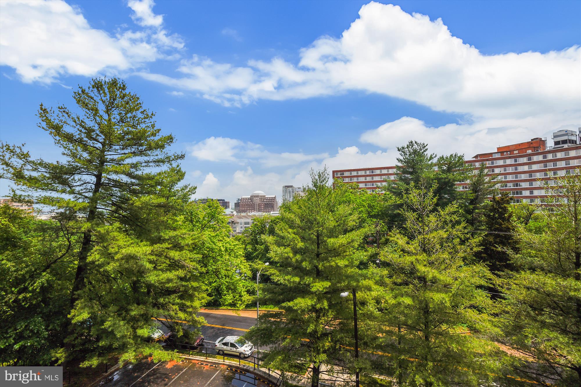 1301 South Arlington Ridge Road, Unit 401 Arlington, VA 22202 - Photo 12 of 30 City views with plenty of greenery!