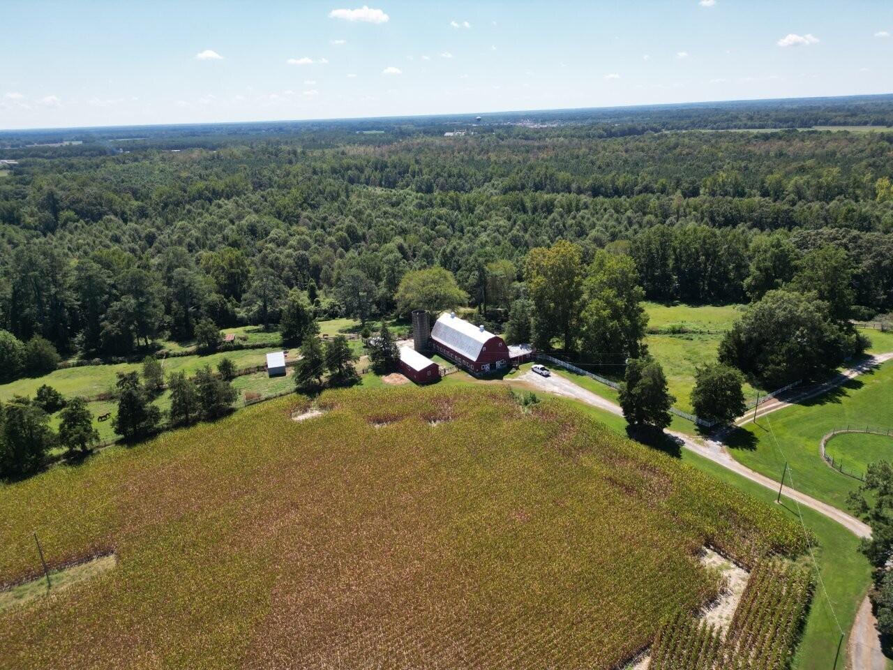 300 Rawlsdale Road Franklin, VA 23851 - Photo 7 of 15 DJI_0725