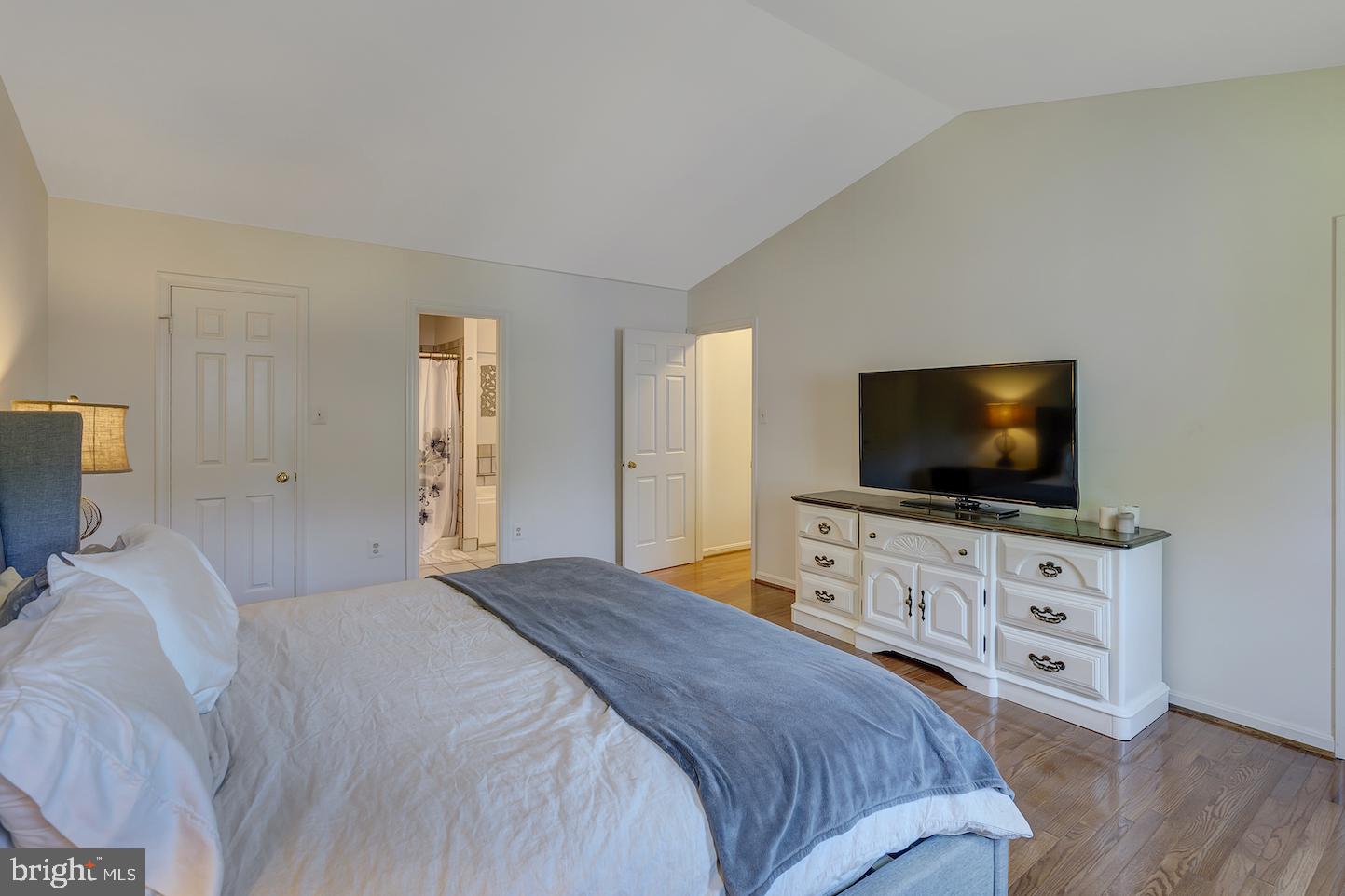 14903 Alpine Meadow Lane Silver Spring, MD 20906 - Photo 28 of 49 Master suite with vaulted ceiling