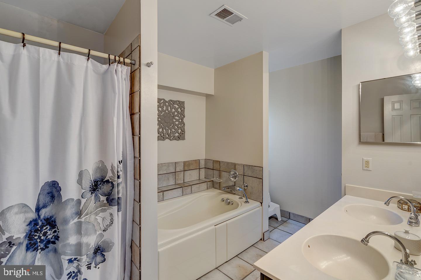 14903 Alpine Meadow Lane Silver Spring, MD 20906 - Photo 30 of 49 Master bath with Sep Shower & Soaking tub