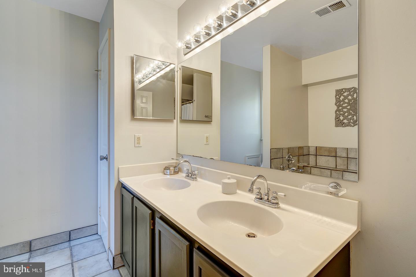 14903 Alpine Meadow Lane Silver Spring, MD 20906 - Photo 31 of 49 Master Bath with double sinks & storage