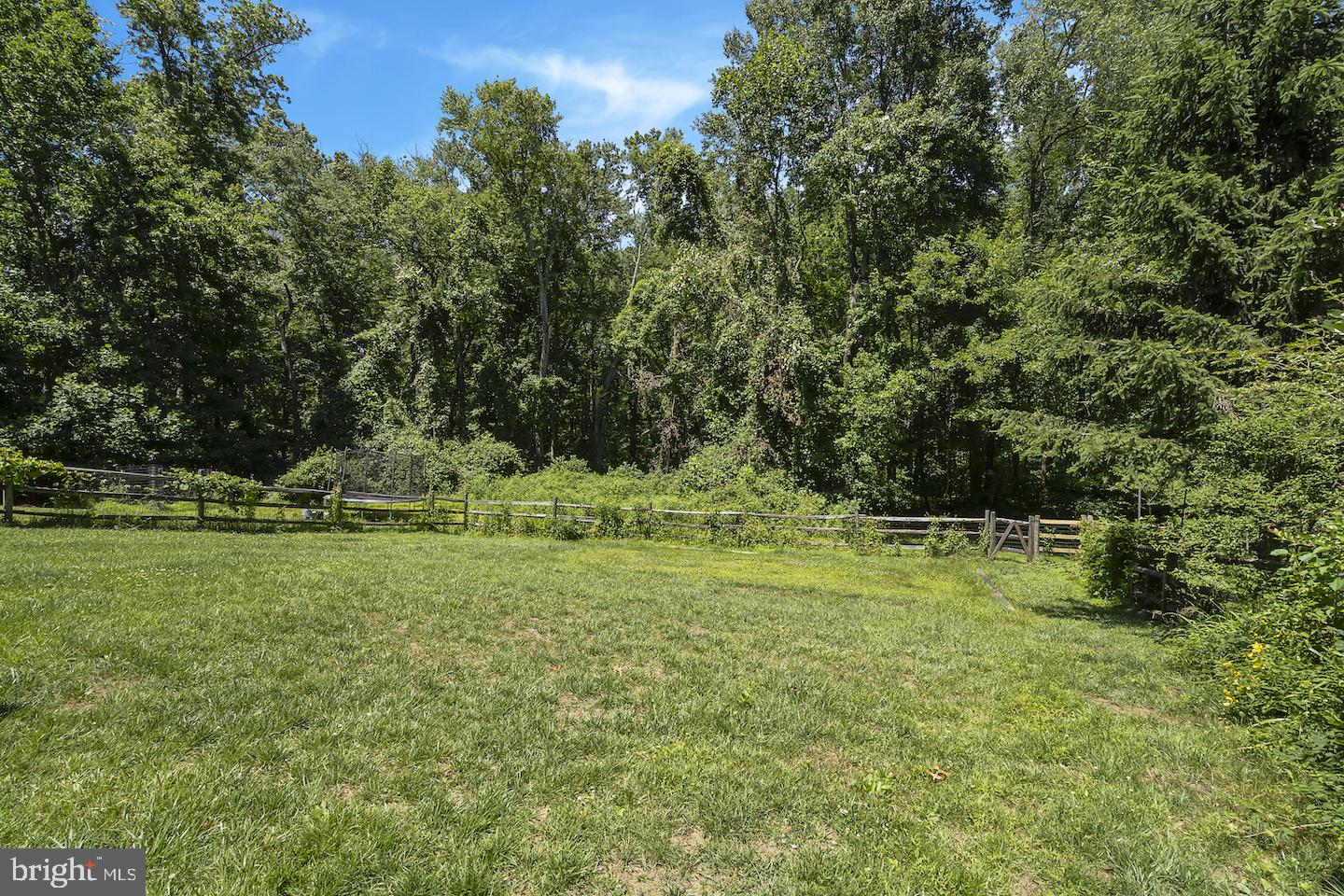 14903 Alpine Meadow Lane Silver Spring, MD 20906 - Photo 40 of 49 Amazing yard surrounded by mature trees
