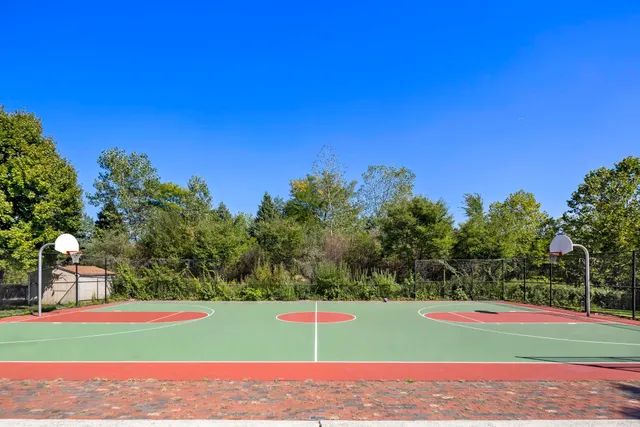 a view of road and trees