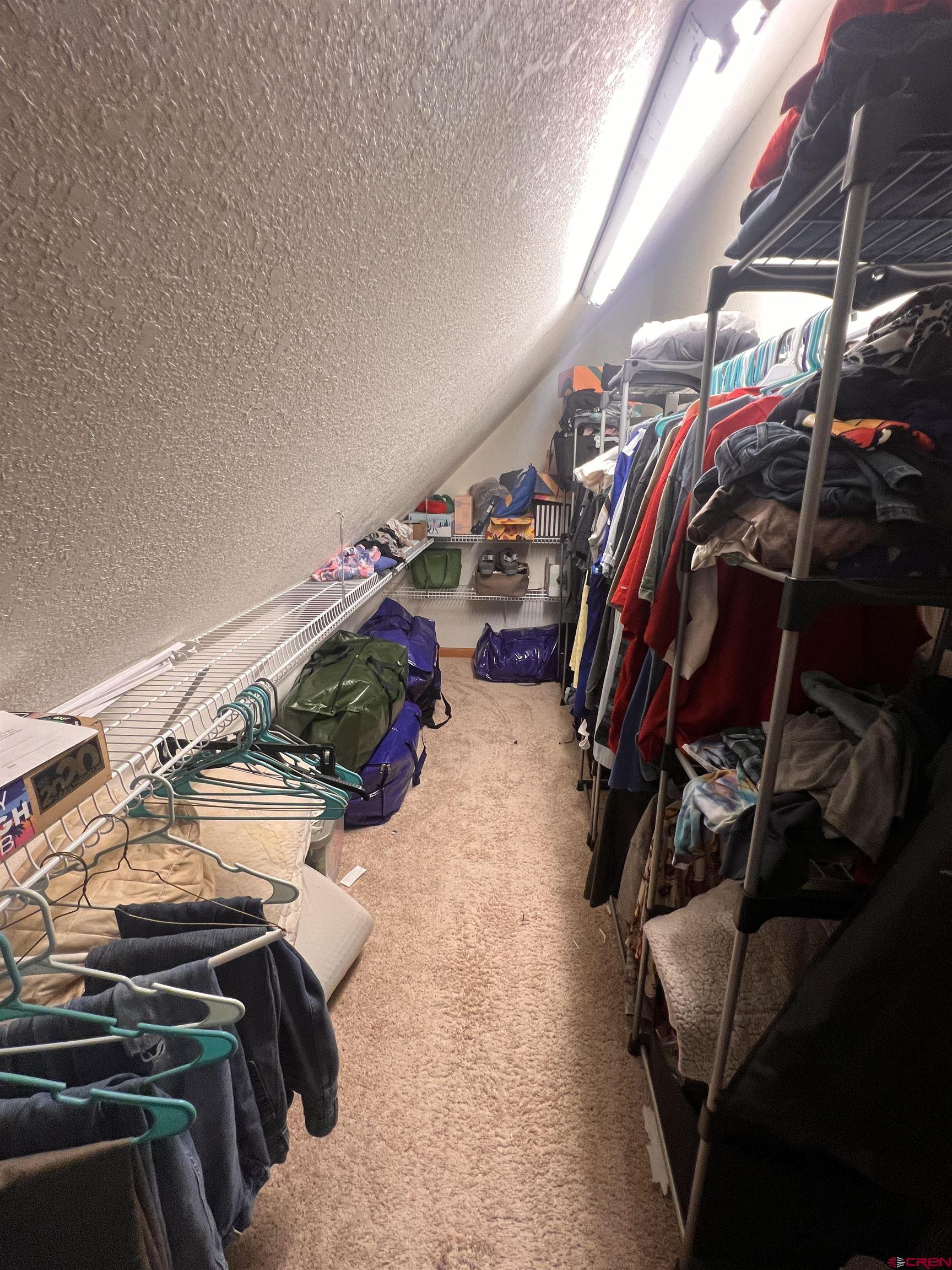 530 Otto Street Ridgway, CO 81432 - Photo 8 of 16 Storage Closet in Primary Bedroom