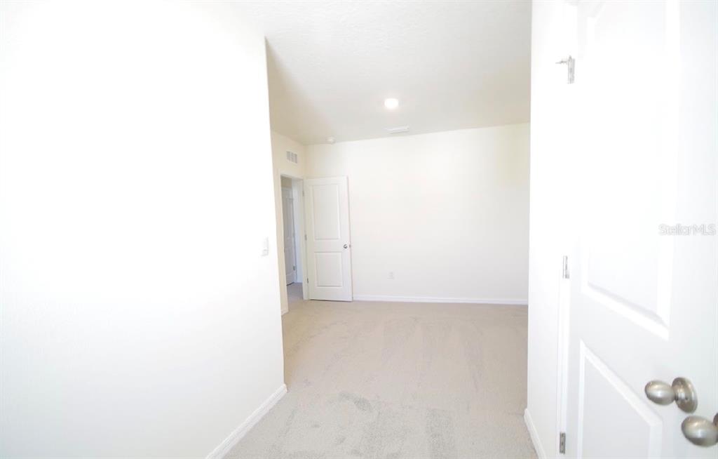 32312 Turtle Grace Loop Wesley Chapel, FL 33545 - Photo 17 of 23
