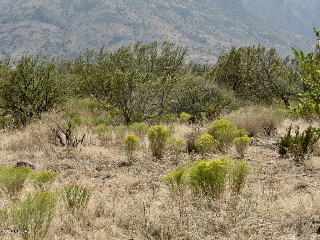 23-acres South Foothills Road San Simon, AZ 85632 - Photo 9 of 12