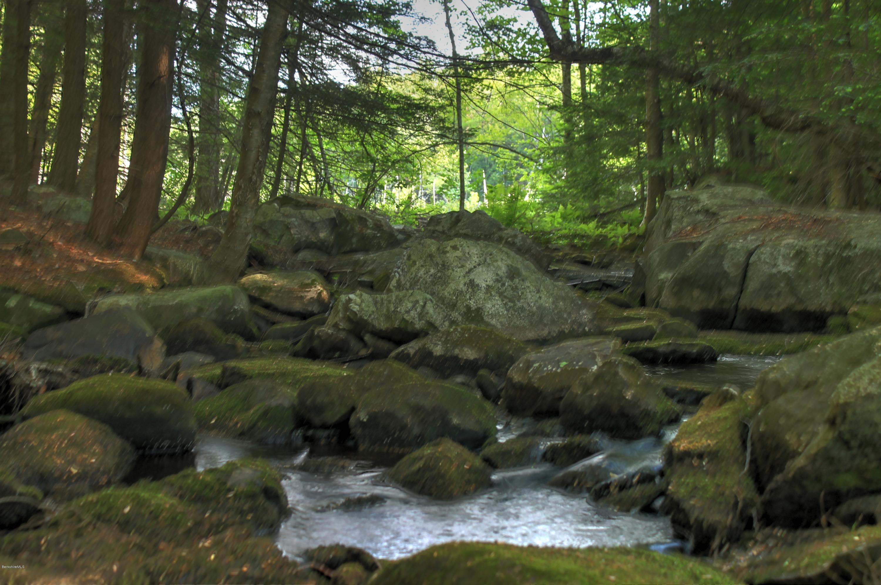 Quarry Road Becket, MA 01223 - Photo 1 of 12 a view of a forest with trees