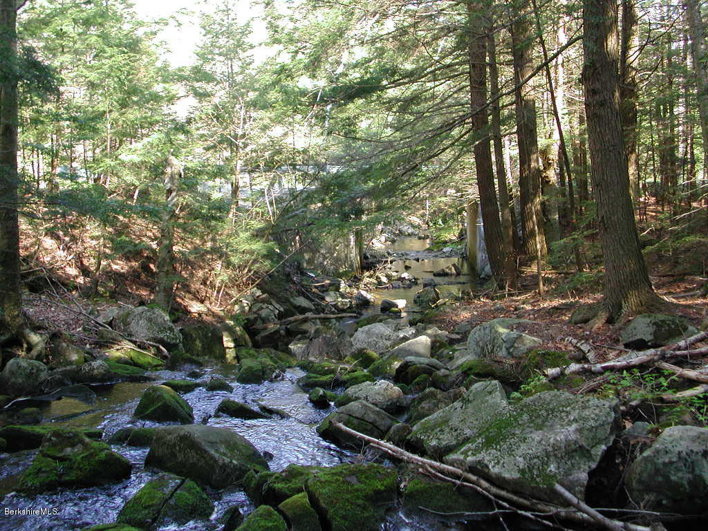 Quarry Road Becket, MA 01223 - Photo 7 of 12 a view of a forest with trees