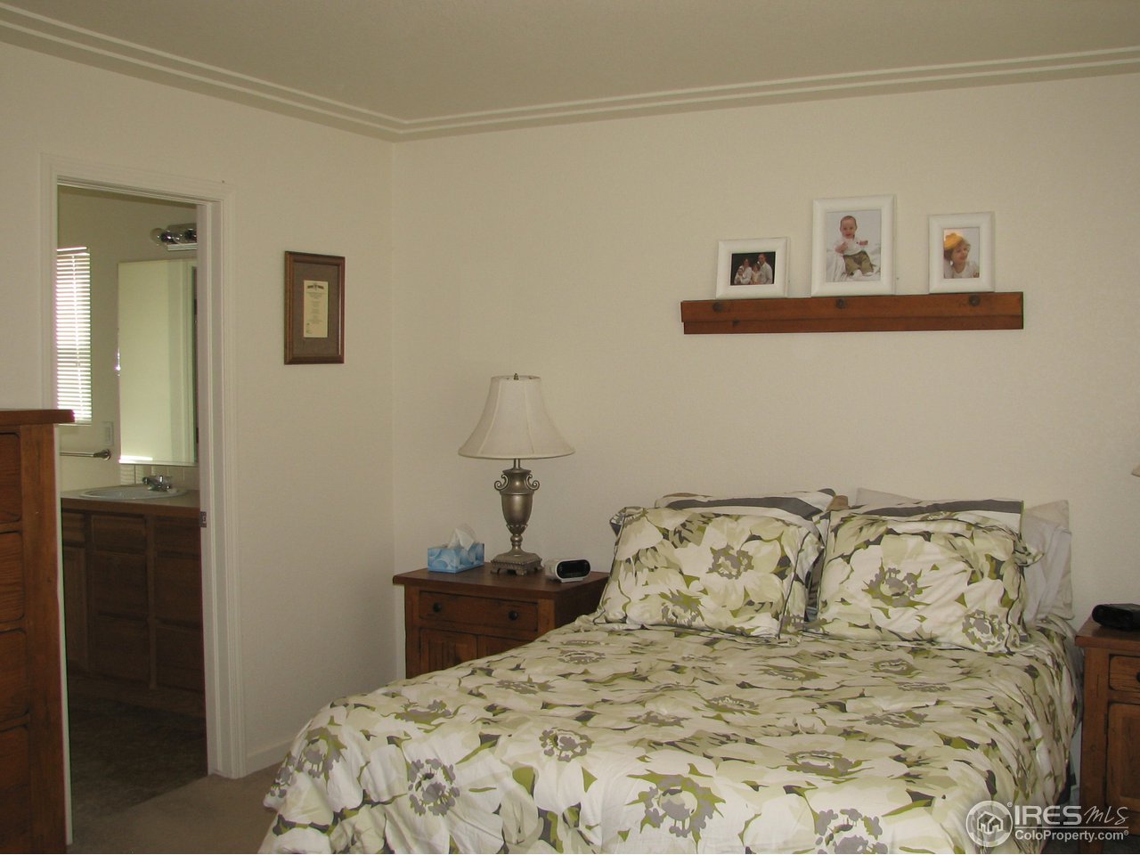 6887 McClellan Road Wellington, CO 80549 - Photo 13 of 25 Master Bedroom