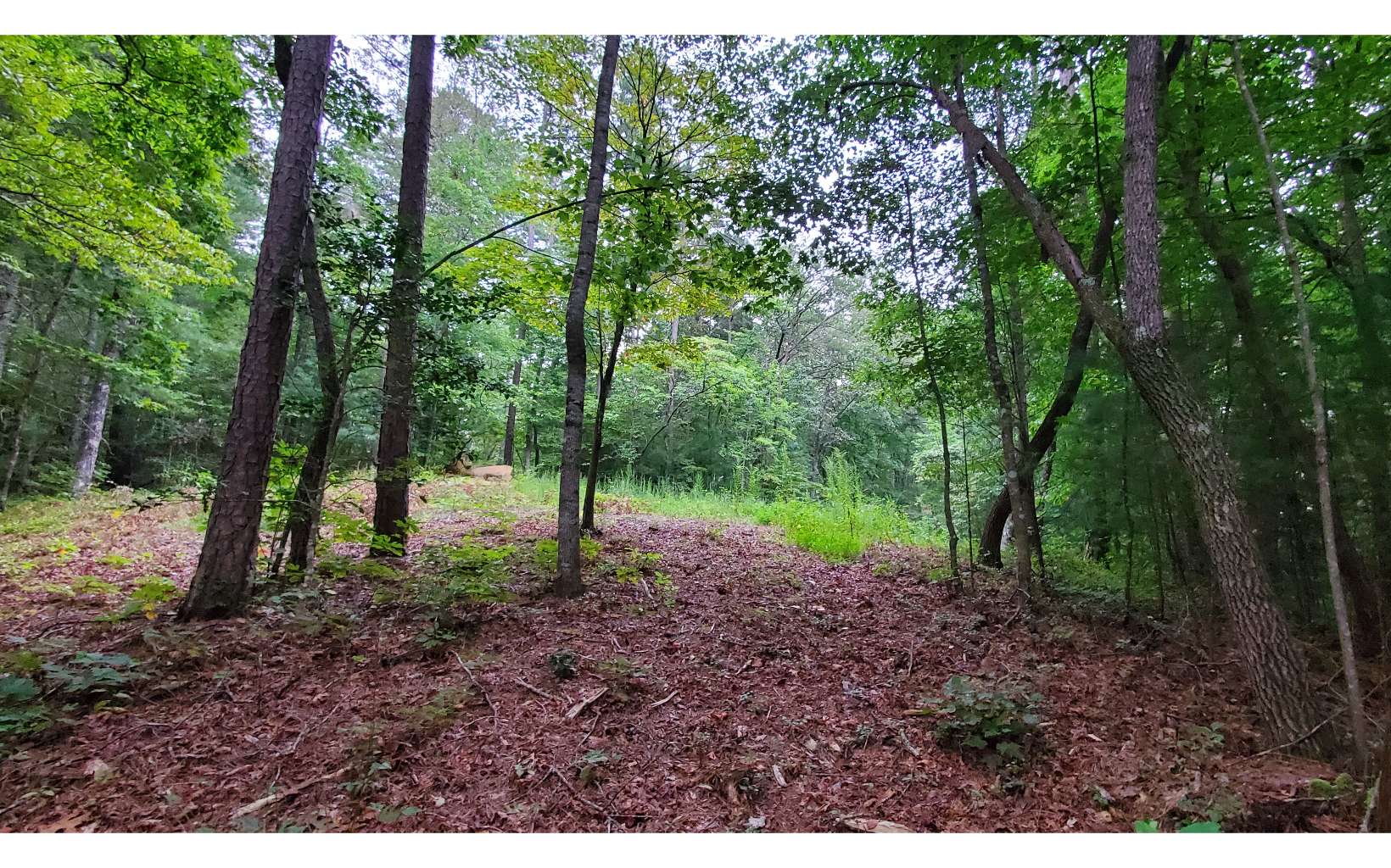 5 Chimney Ridge Ellijay, GA 30540 - Photo 1 of 4 Main View