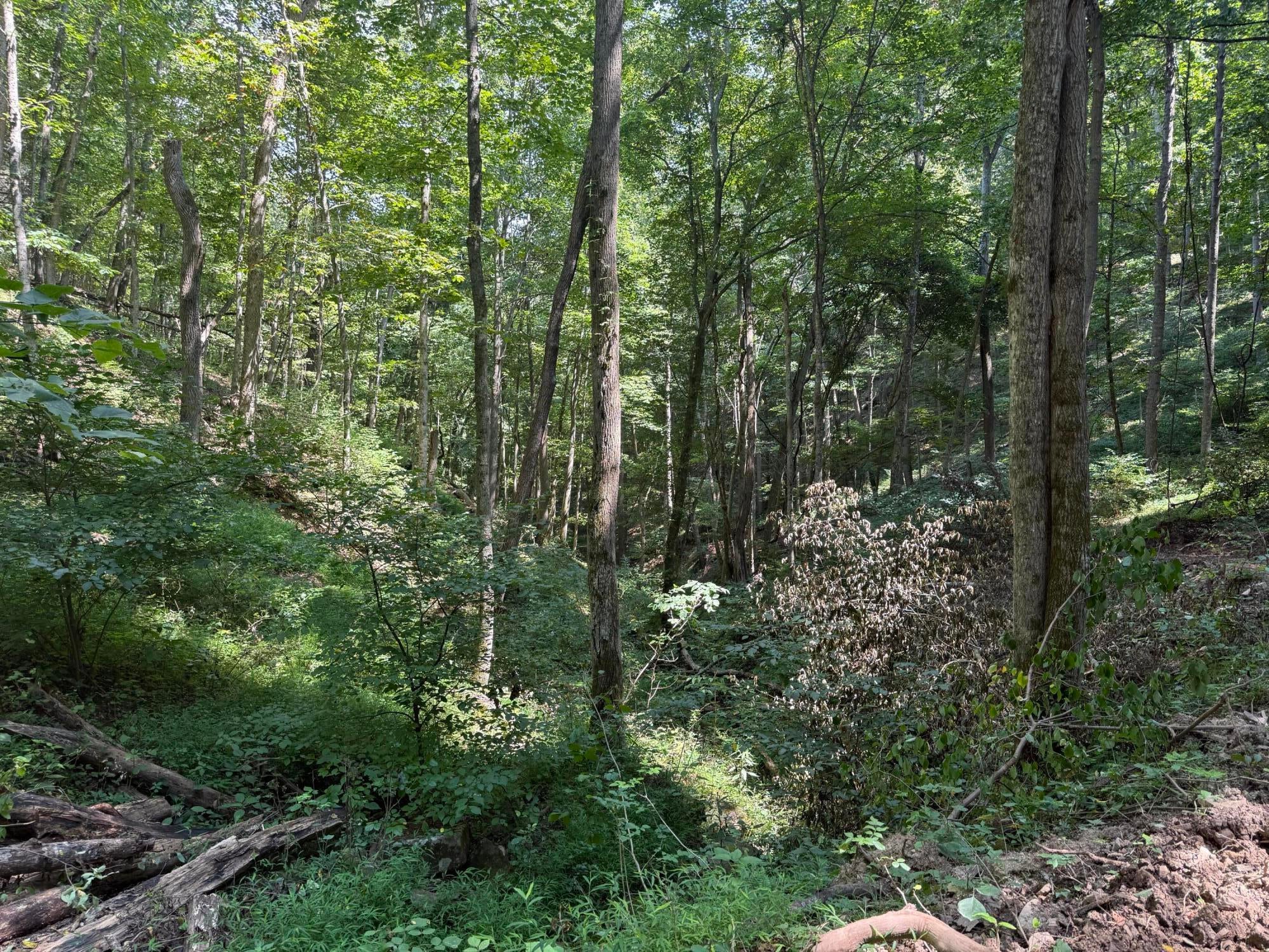 4329 Cooks Run Road Lindside, WV 24951 - Photo 7 of 71 Gallery Image 7