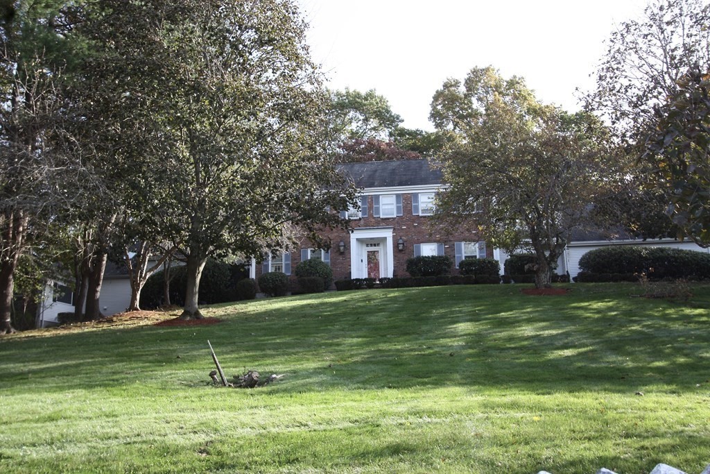 a front view of a house with a yard tree and green space