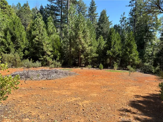 a view of empty yard with large trees