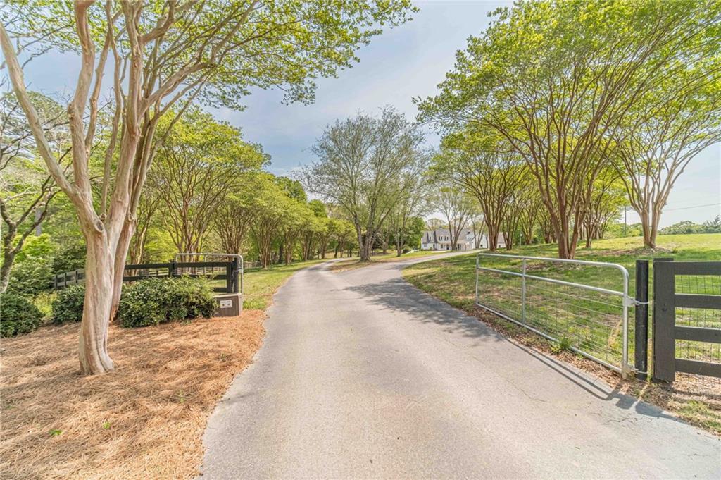 1271 Carl Davis Road Northwest Monroe, GA 30656 - Photo 1 of 80 a view of a yard with large trees