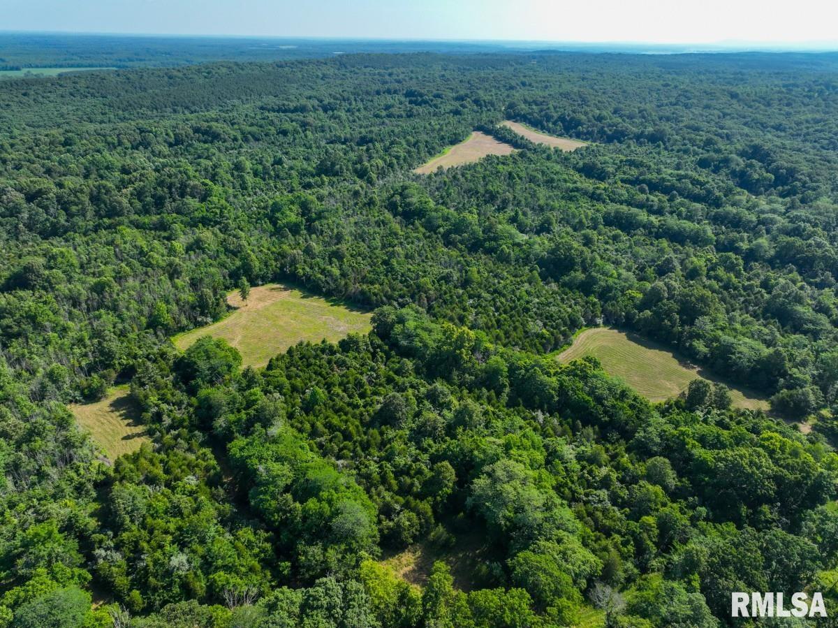 0 Tom Dick Hill Road Stonefort, IL 62987 - Photo 38 of 62