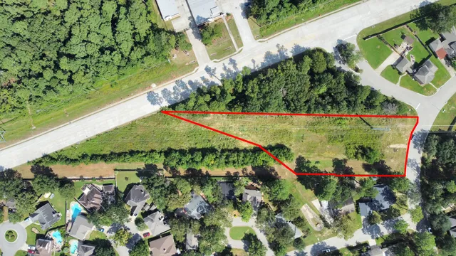 a view of a flower in a garden