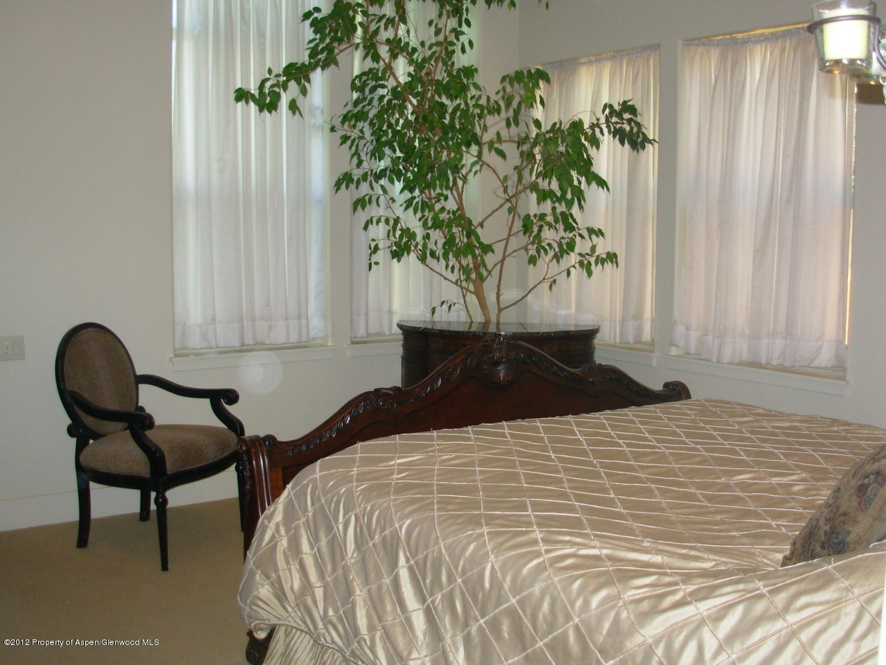 405 Meadow Court Basalt, CO 81621 - Photo 17 of 25 a bedroom with a bed and a potted plant
