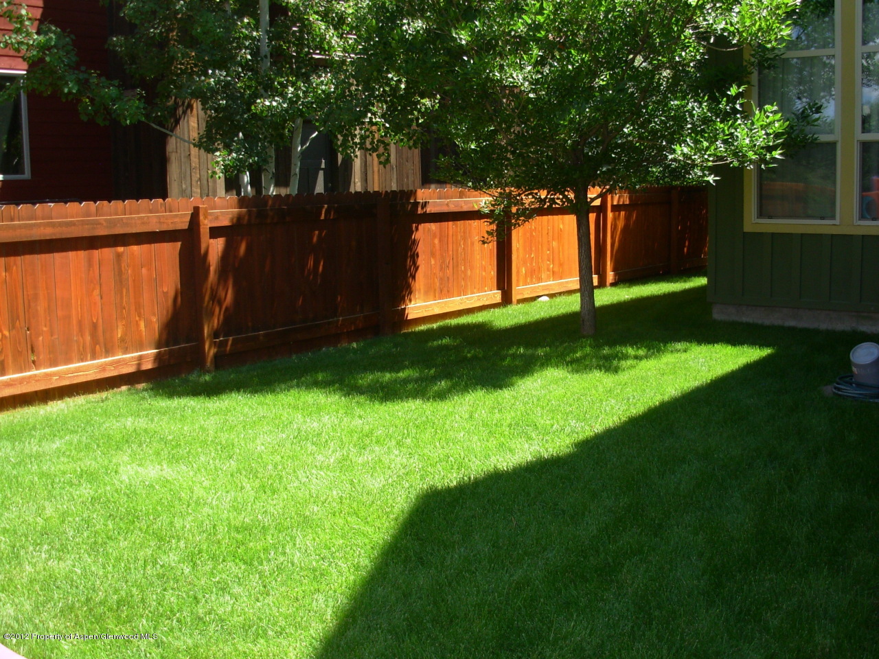 405 Meadow Court Basalt, CO 81621 - Photo 23 of 25 a view of a backyard with large tree