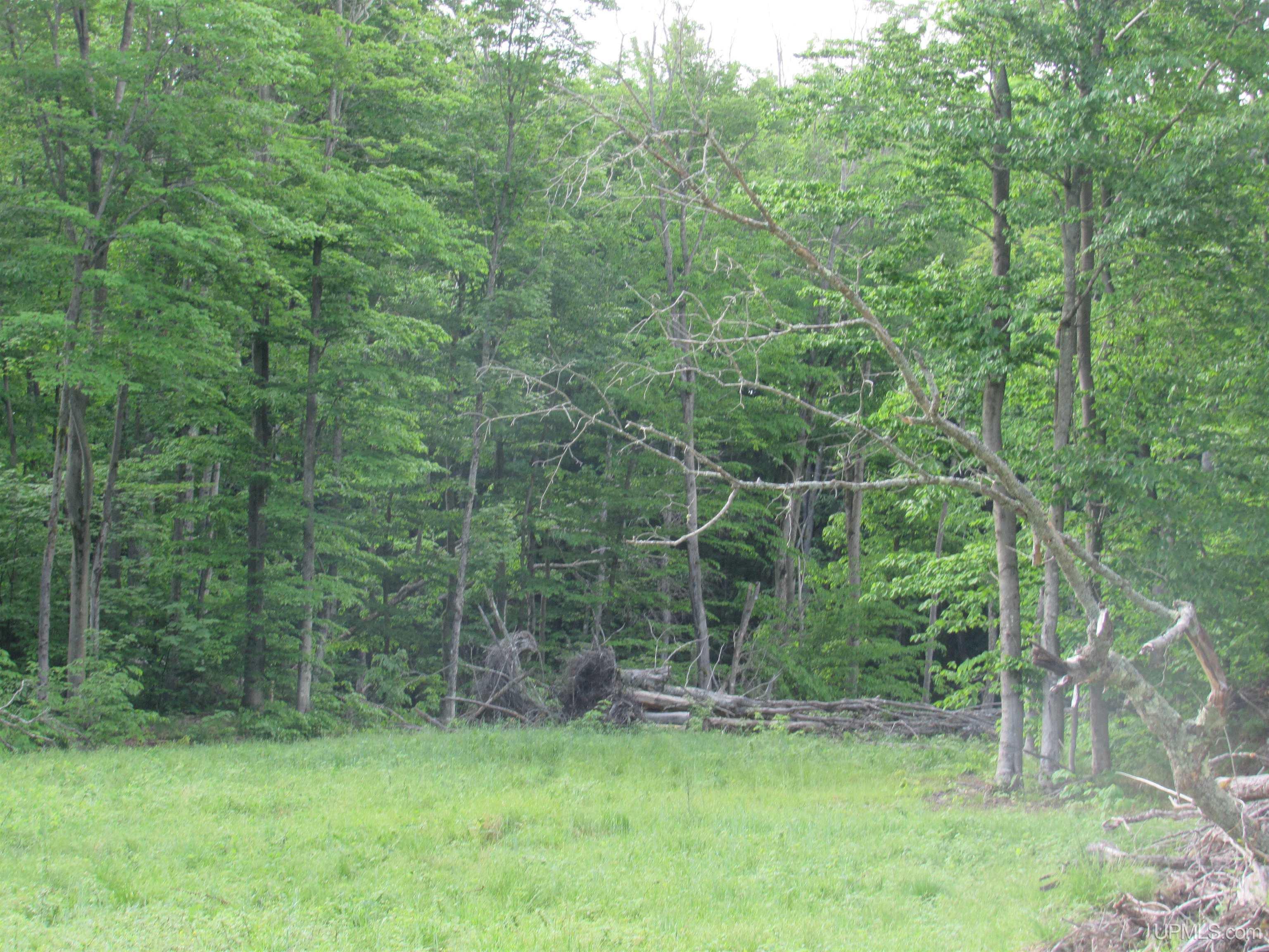 Tbd Tbd Sigan Camp Road Seney, MI 49883 - Photo 33 of 41