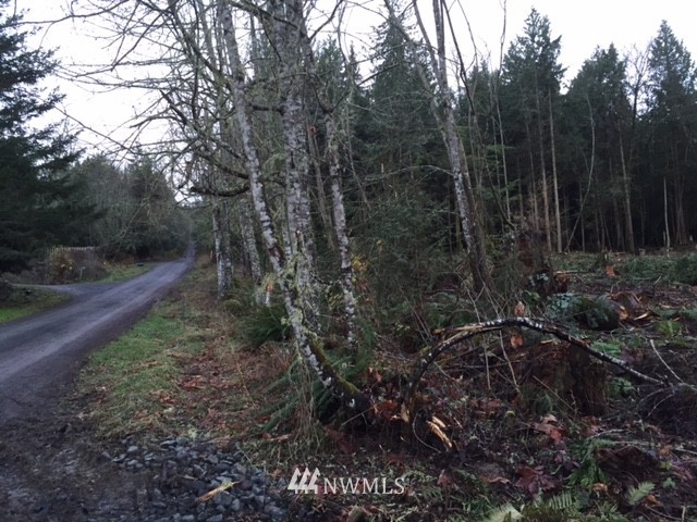 0 Watershed Road Port Angeles, WA 98362 - Photo 1 of 3