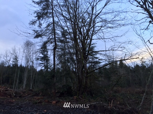 0 Watershed Road Port Angeles, WA 98362 - Photo 3 of 3