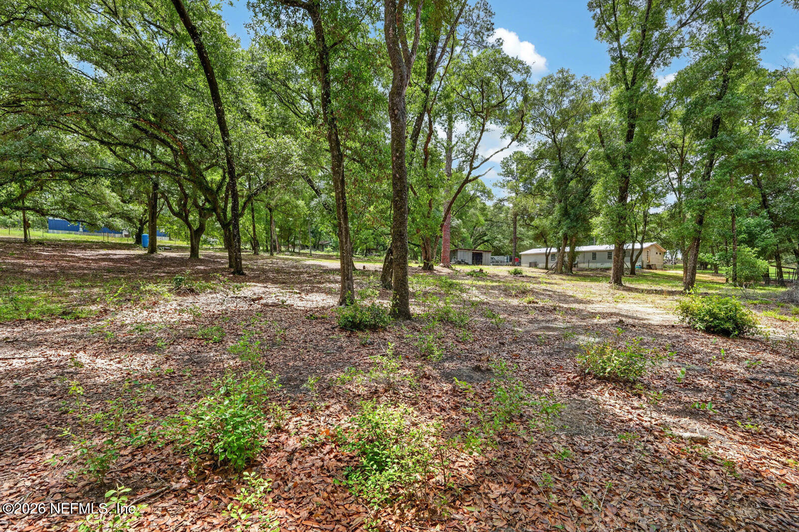 134 Windy Hills Road Hawthorne, FL 32640 - Photo 49 of 66 54_dsc09696
