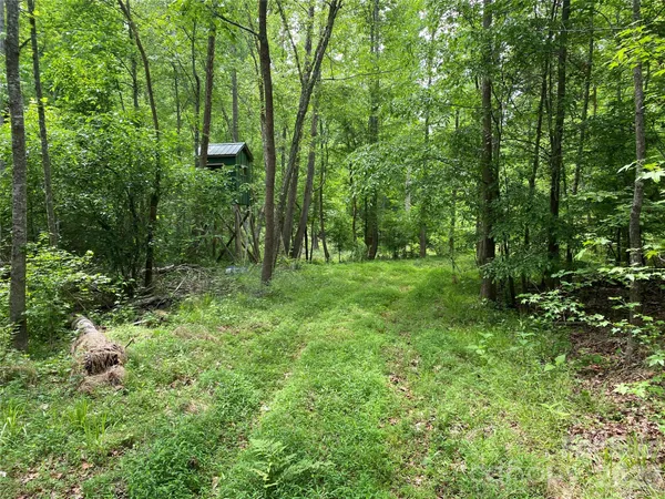 a view of outdoor space and green space