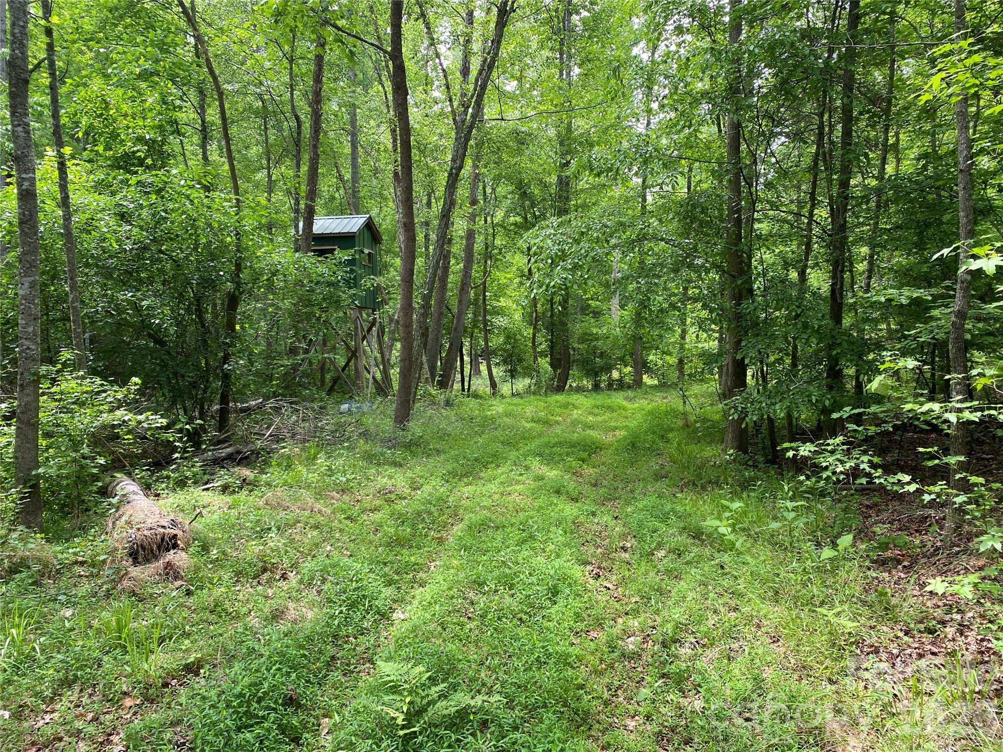 0 Kiser Road Ellenboro, NC 28040 - Photo 1 of 16 a view of outdoor space and green space
