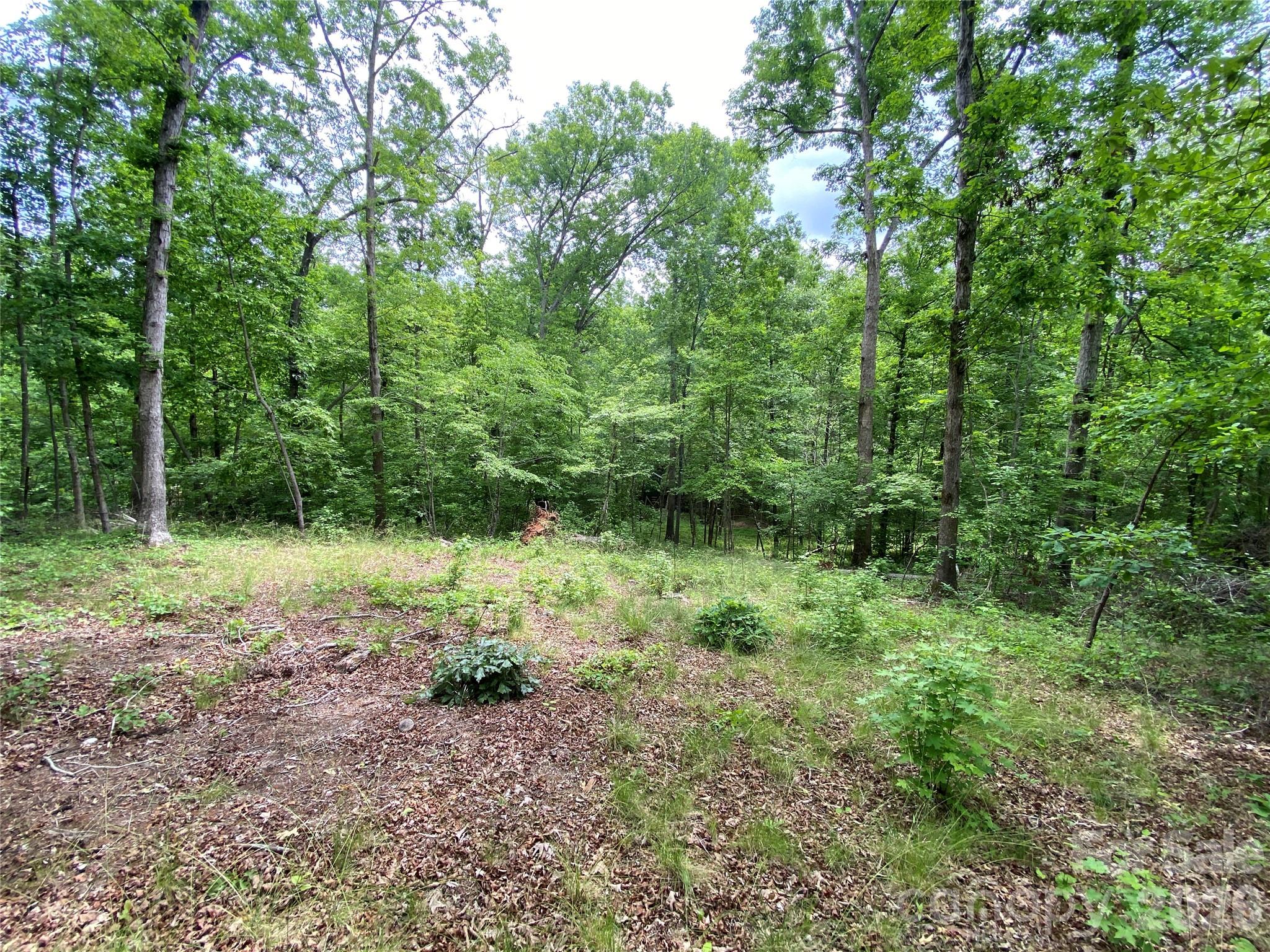 0 Kiser Road Ellenboro, NC 28040 - Photo 12 of 16 a view of backyard with green space