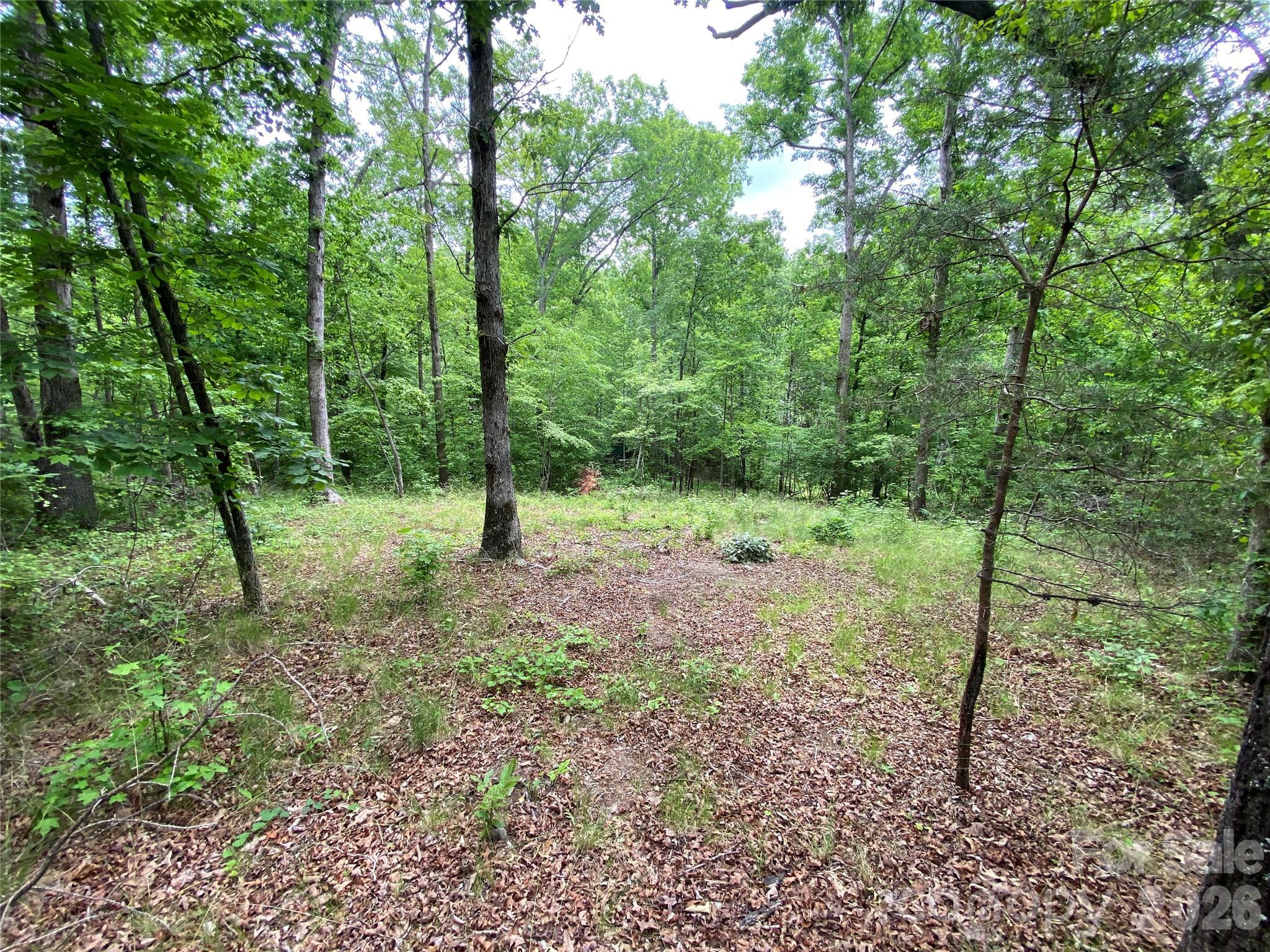 0 Kiser Road Ellenboro, NC 28040 - Photo 2 of 16 a view of outdoor space and green space